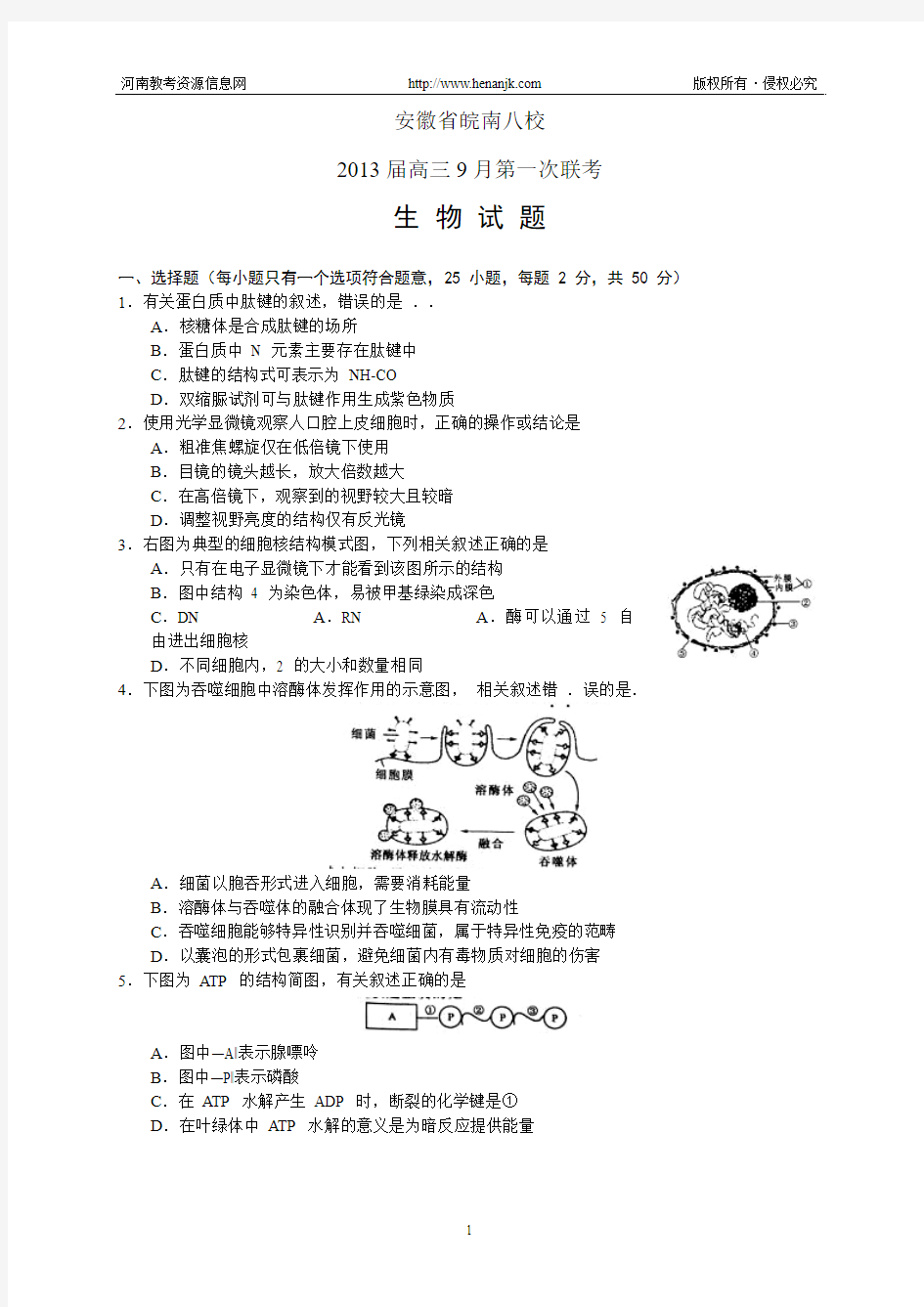 安徽省皖南八校2013届高三第一次联考