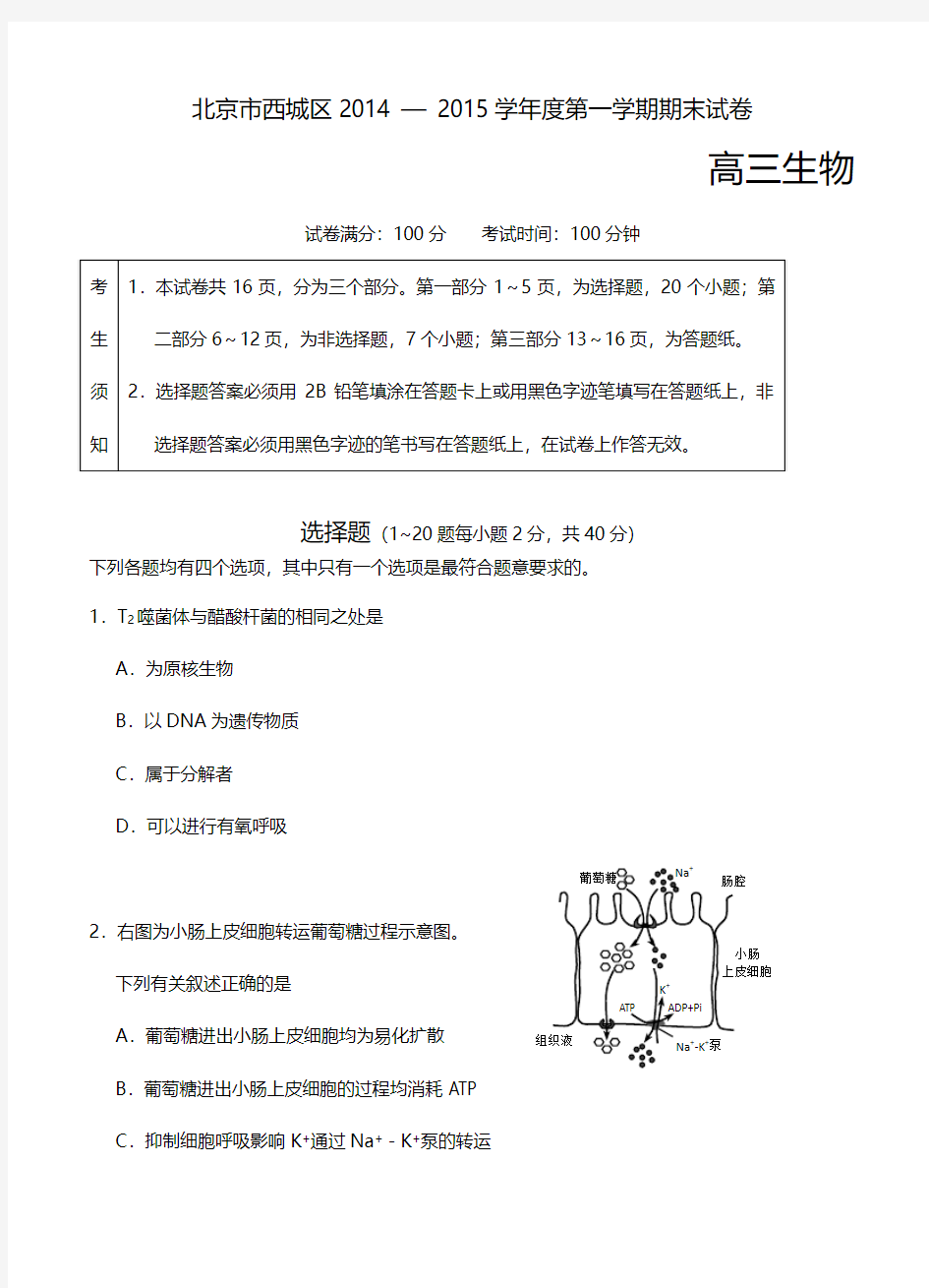 北京市丰台区2015届高三上期末练习生物试题及答案