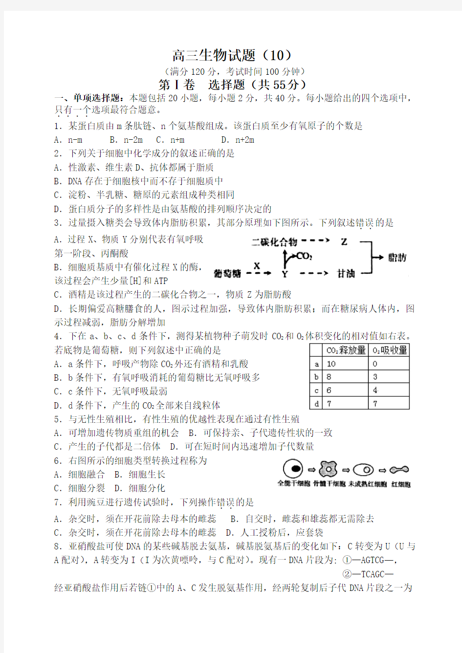 高三生物试题(10)(江苏高考复习用,附参考答案)