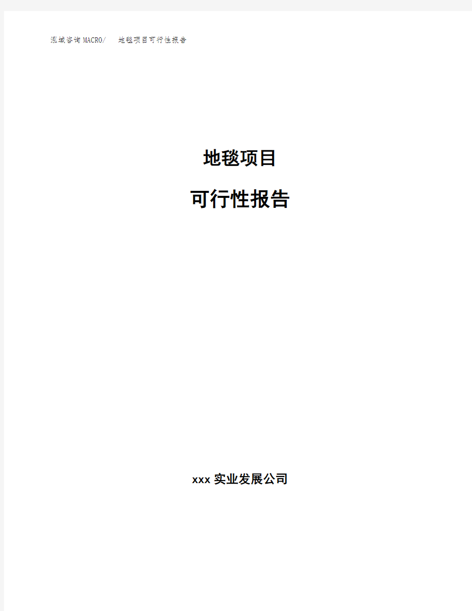 地毯项目可行性报告模板