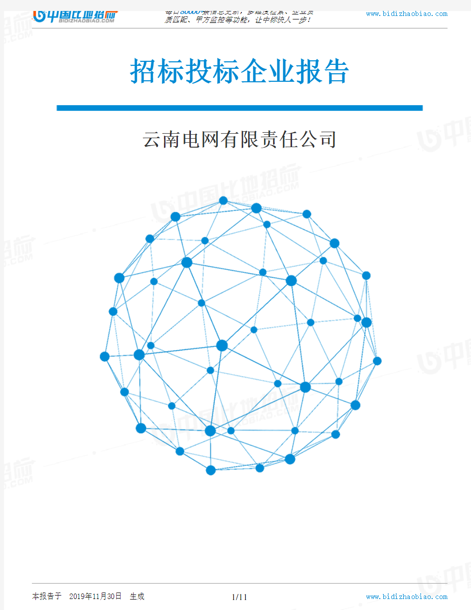云南电网有限责任公司-招投标数据分析报告