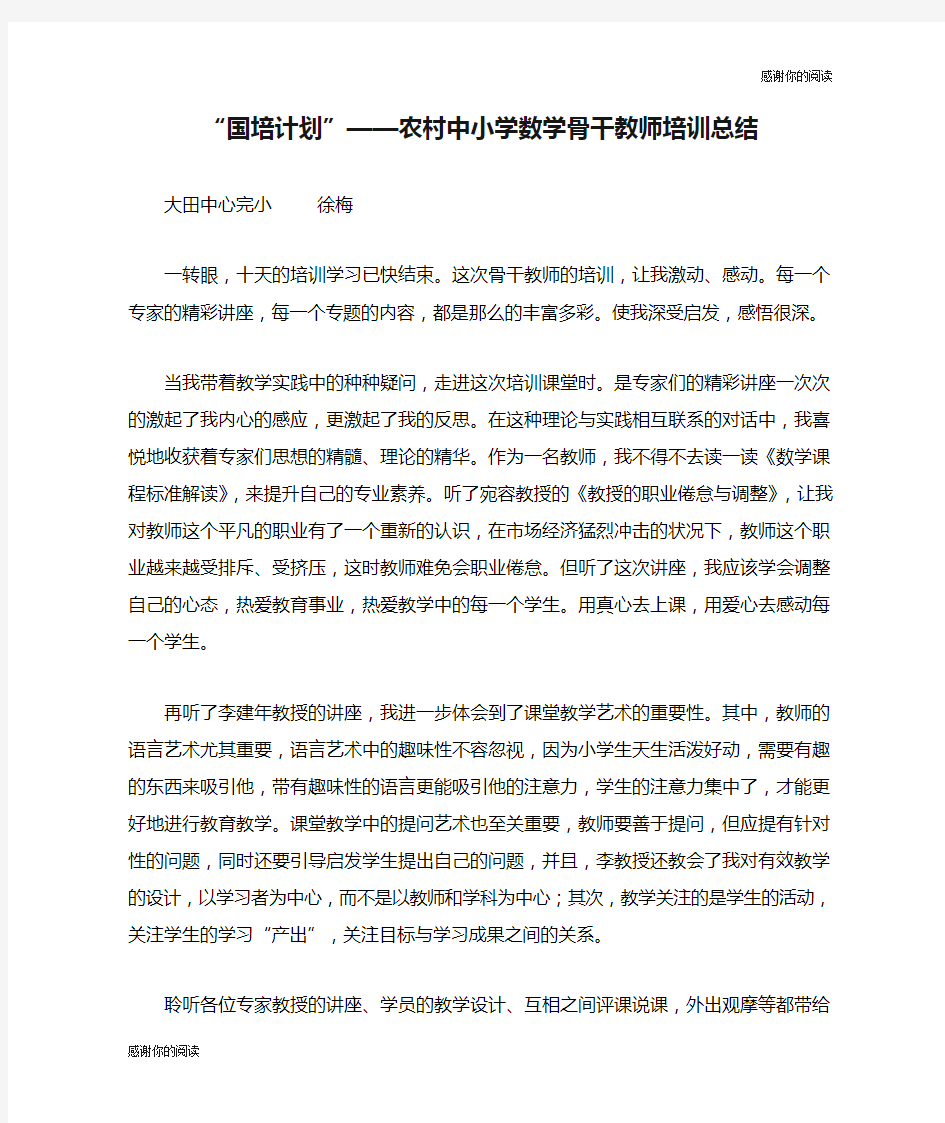 “国培计划”——农村中小学数学骨干教师培训总结.doc