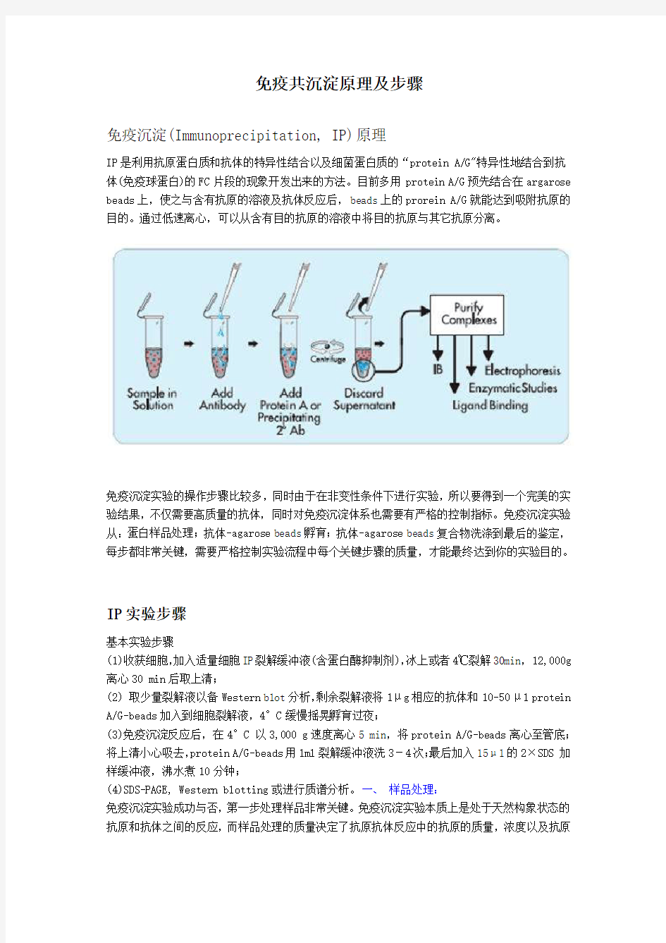 免疫共沉淀原理及步骤