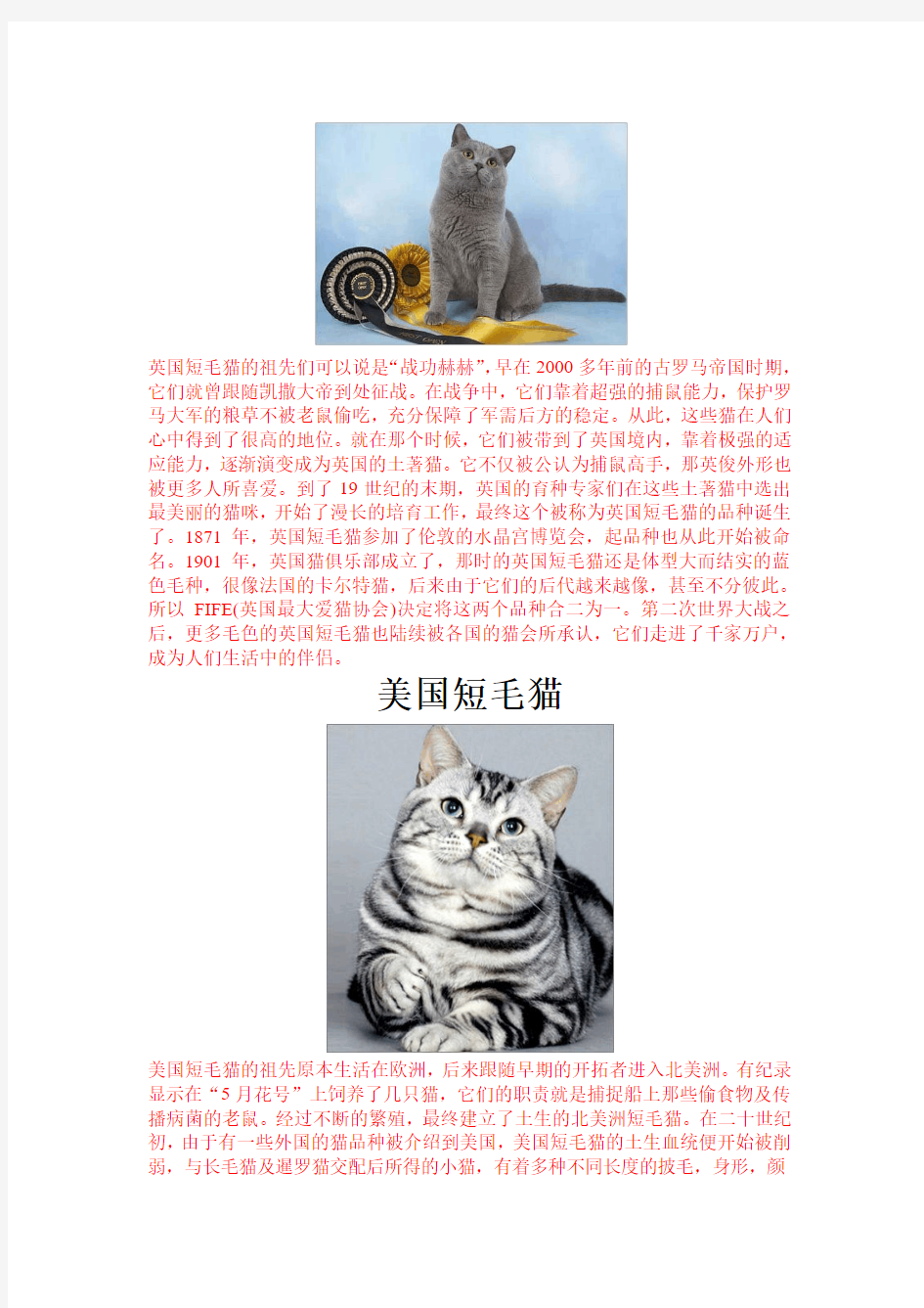 世界著名猫的品种及图片