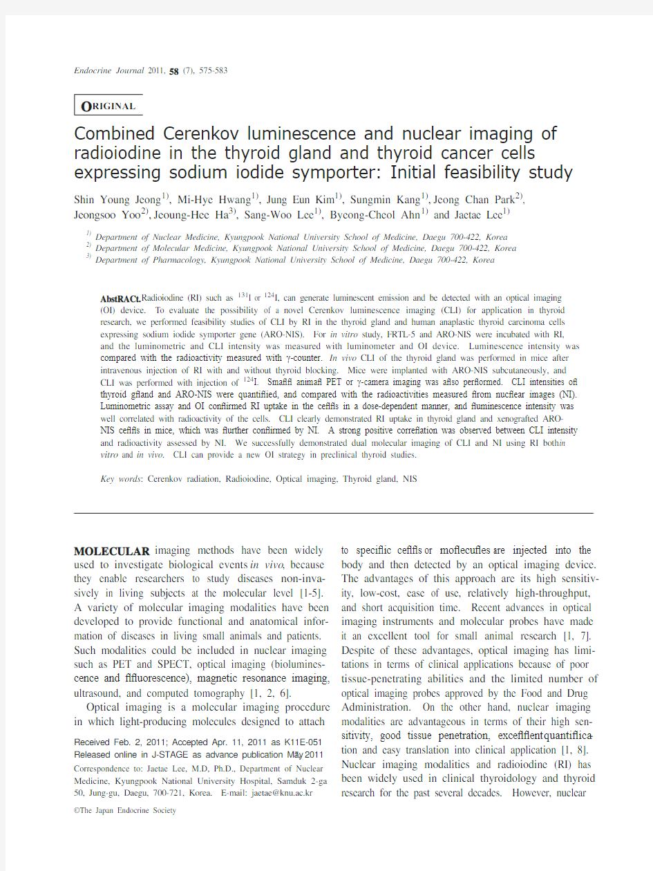 Combined Cerenkov luminescence and nuclear ima