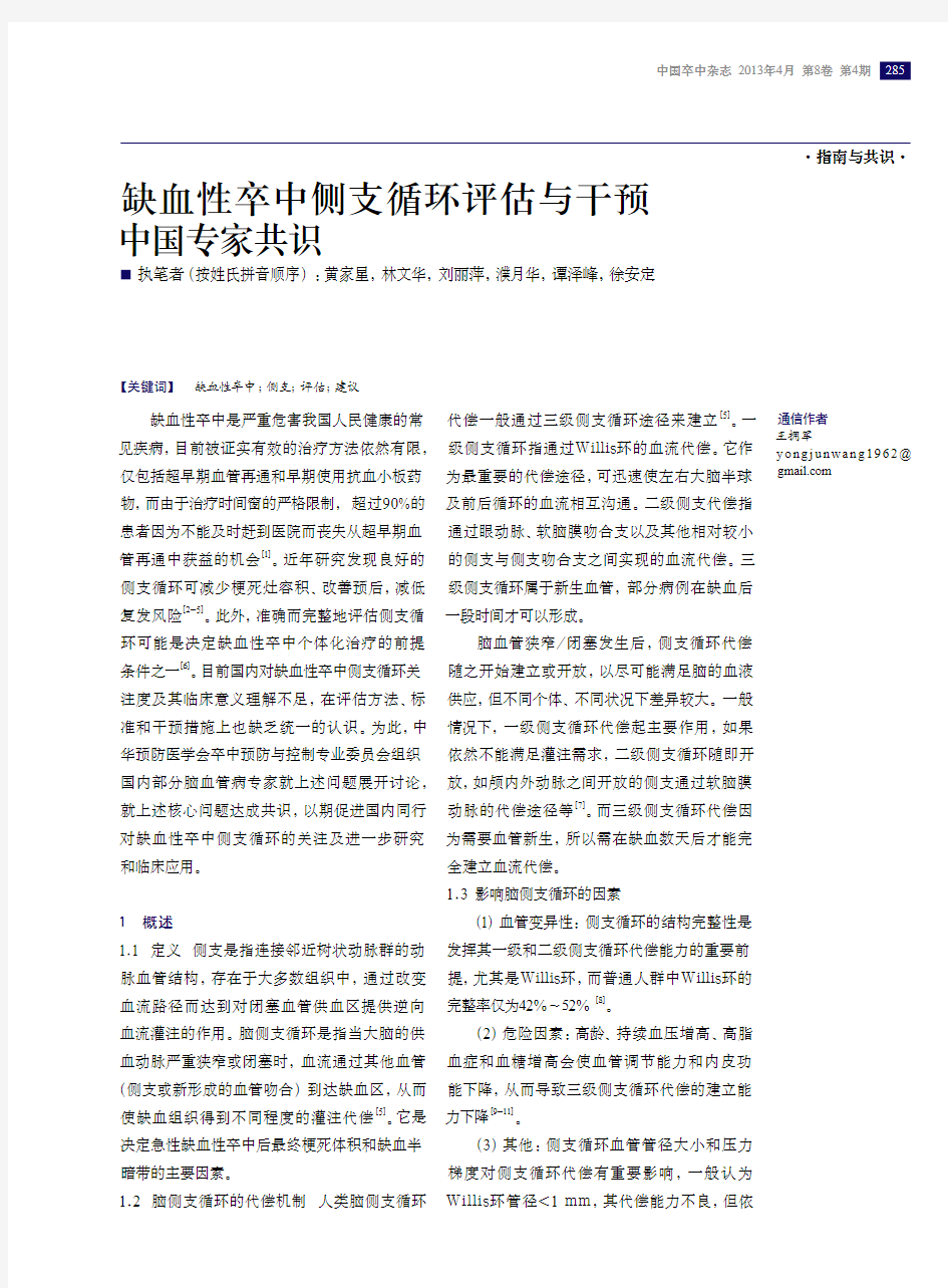 缺血性卒中侧支循环评估与干预中国专家共识2013