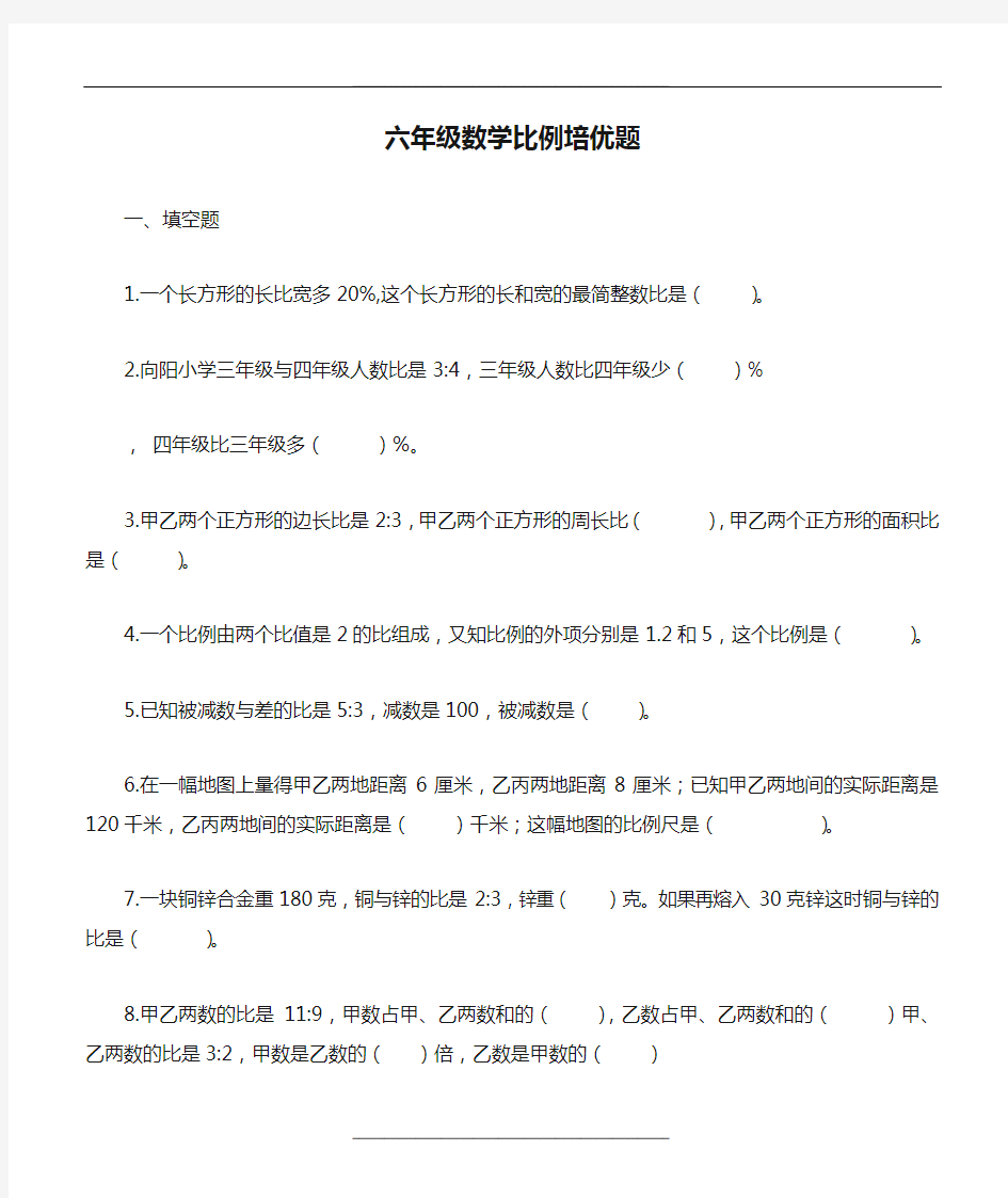 最新六年级数学比例培优题