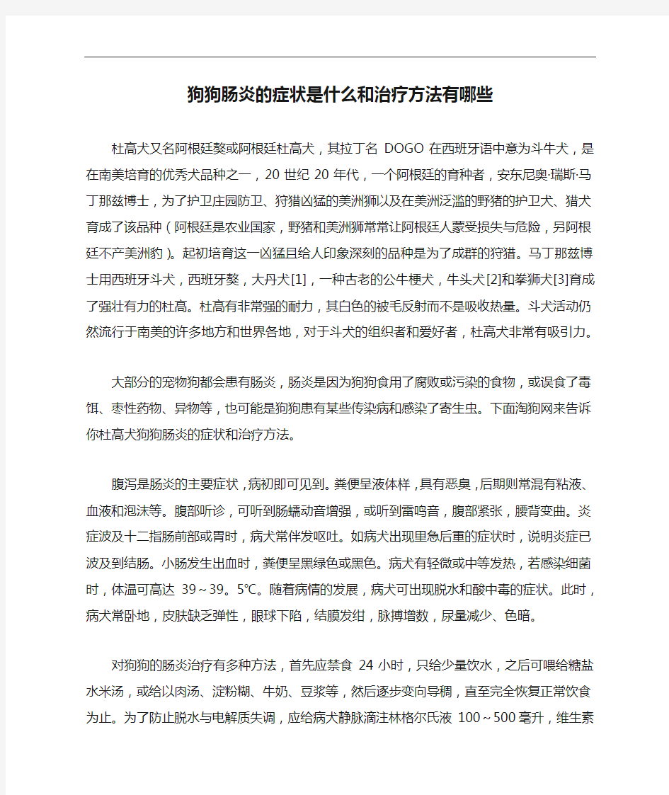 狗狗肠炎的症状是什么和治疗方法有哪些