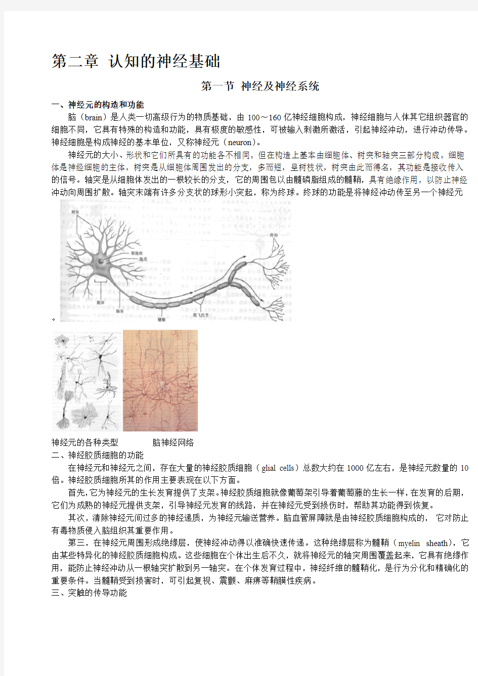 第二章 认知的神经基础