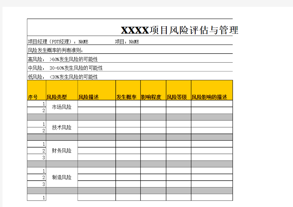 项目风险评估和管理表