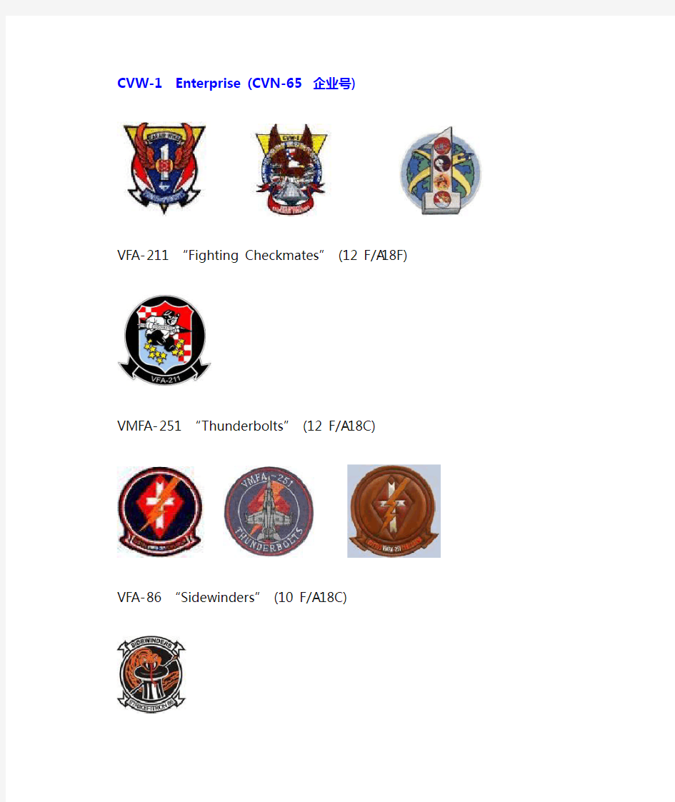 美国现役航空母舰舰载机连队及各中队徽章标志
