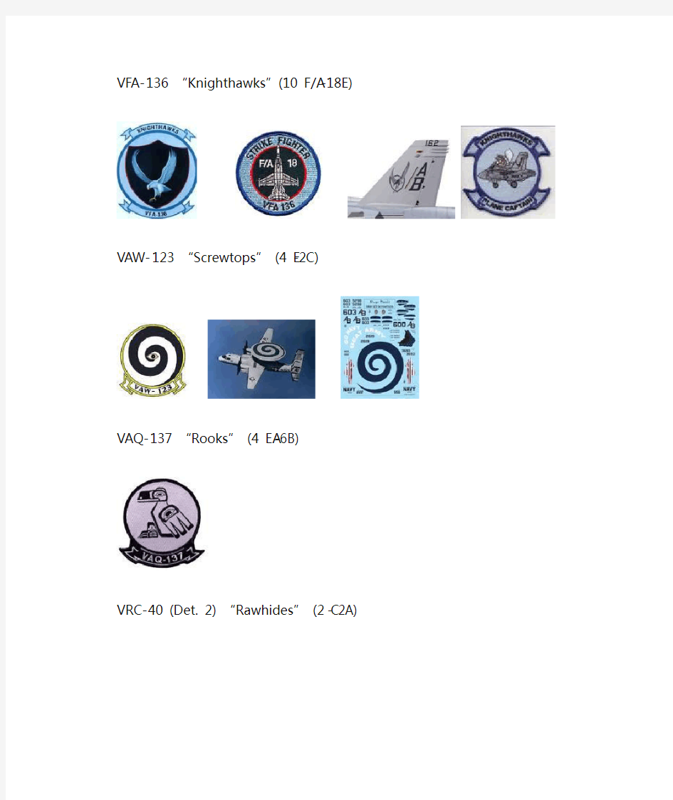 美国现役航空母舰舰载机连队及各中队徽章标志