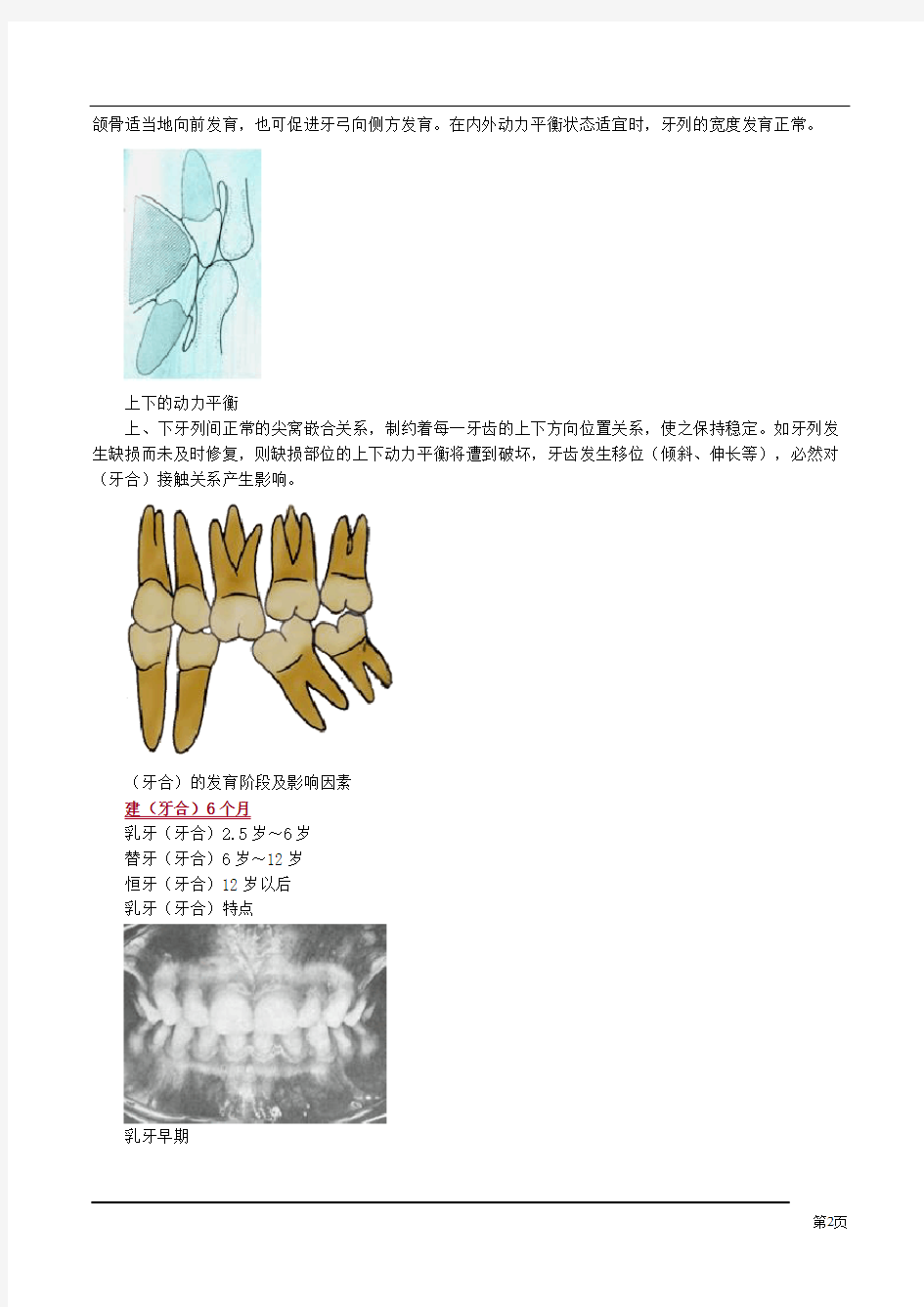 口腔解剖生理学(牙合)与颌位知识点