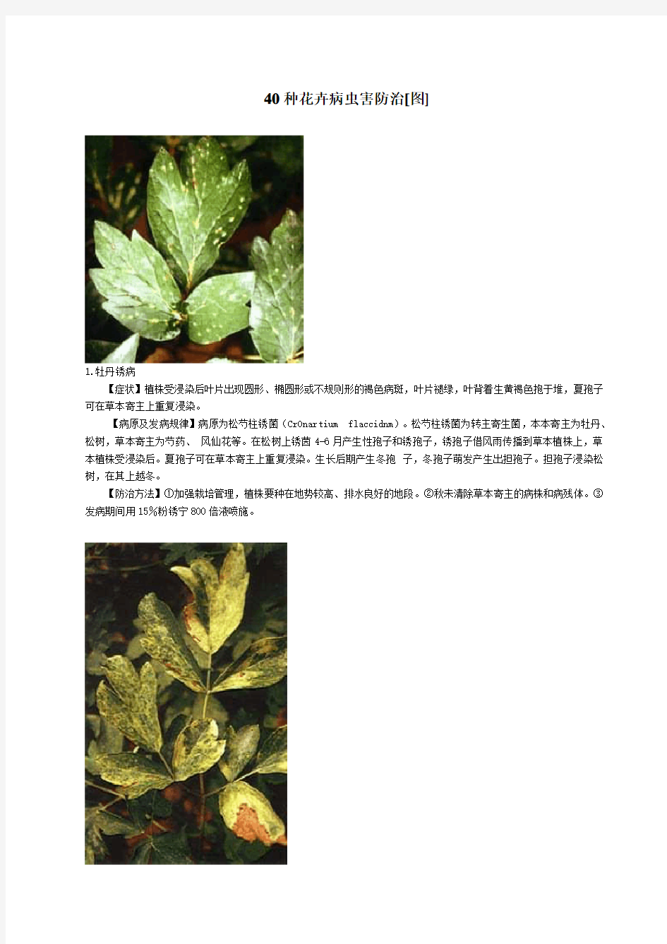 (完整版)图文·40种花卉病虫害防治