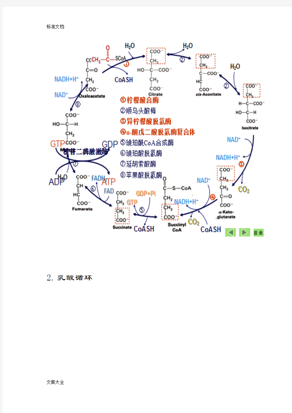 生物化学中若干循环和穿梭