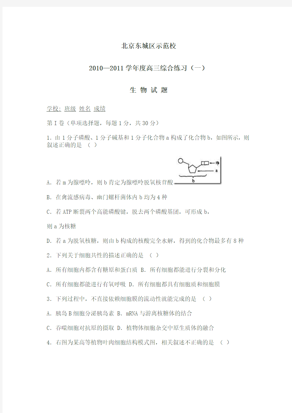 北京东城区示范校2011年高三·生物综合练习