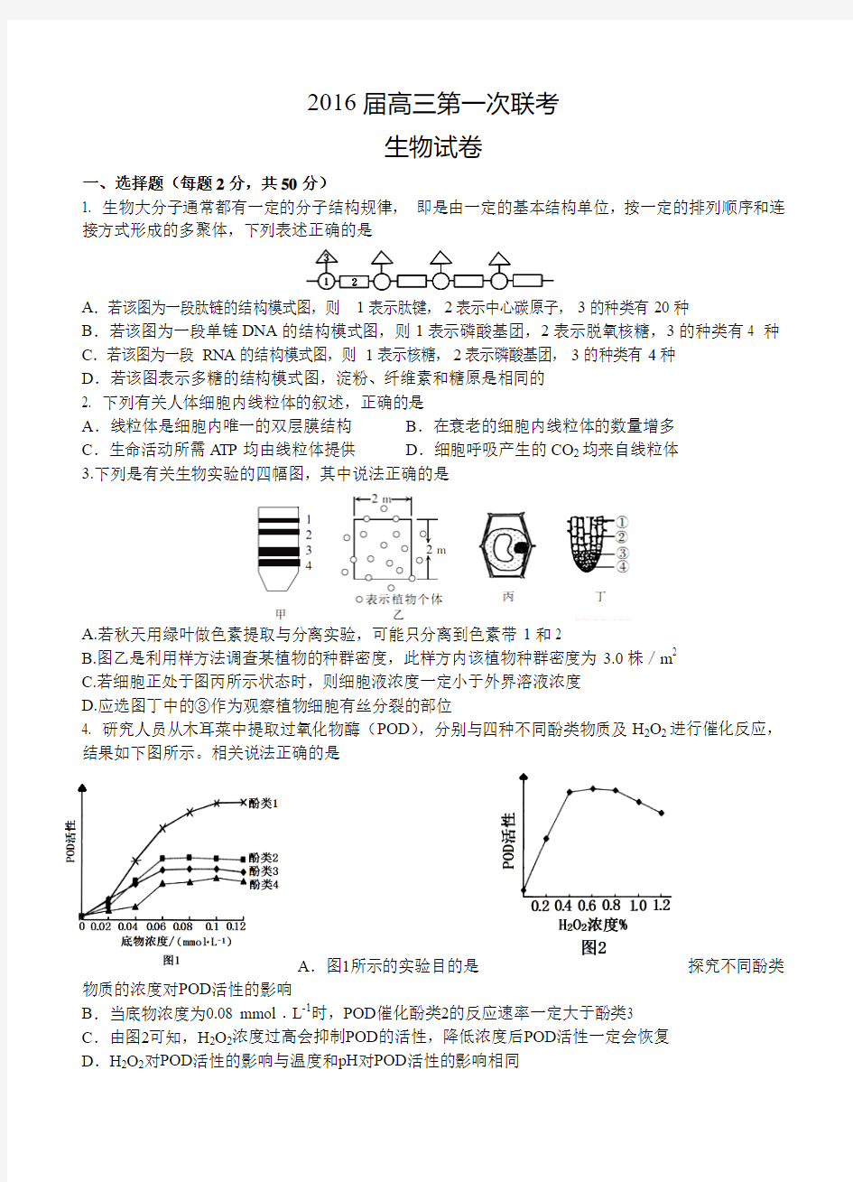 江西省两校2016届高三上学期第一次联考生物试题(含答案)