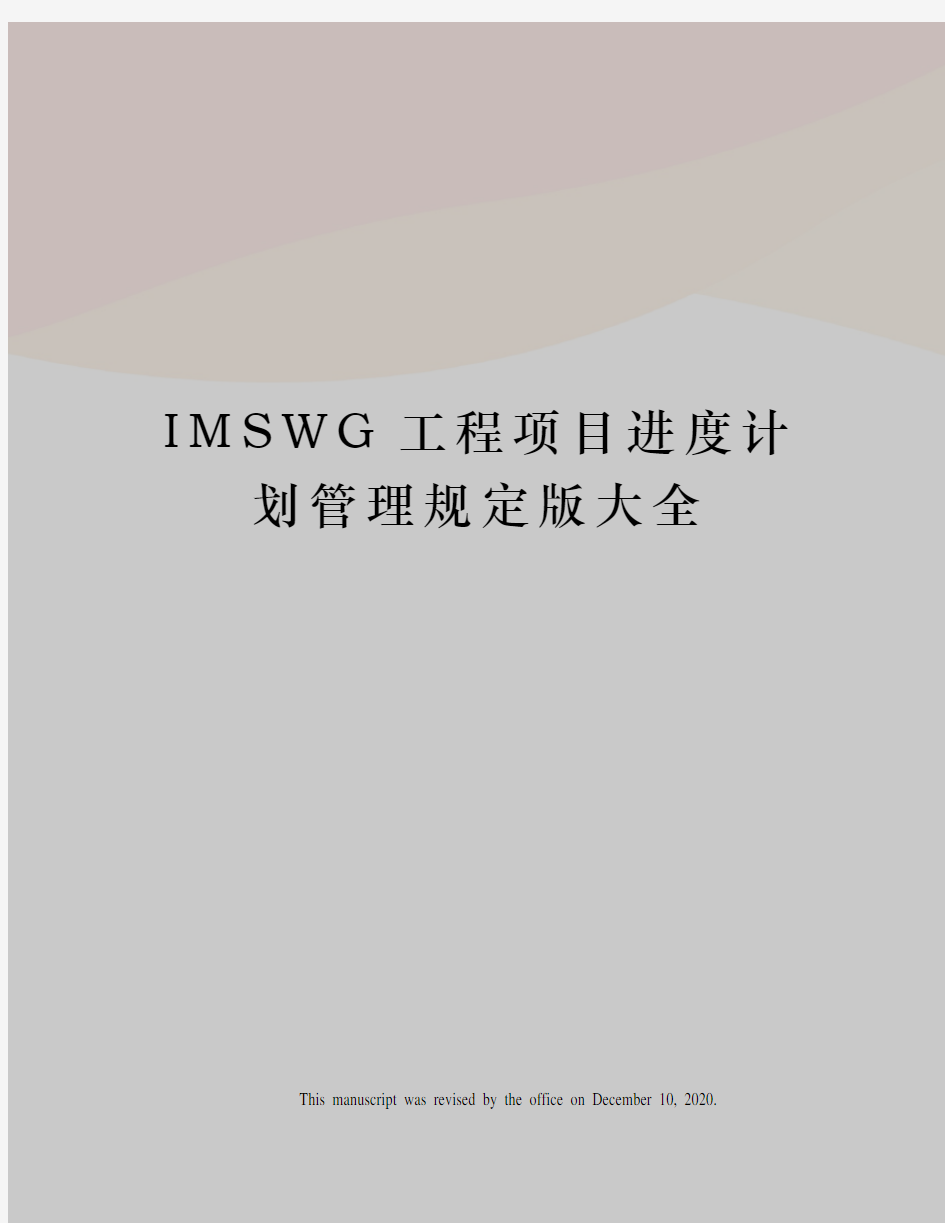 IMSWG工程项目进度计划管理规定版大全