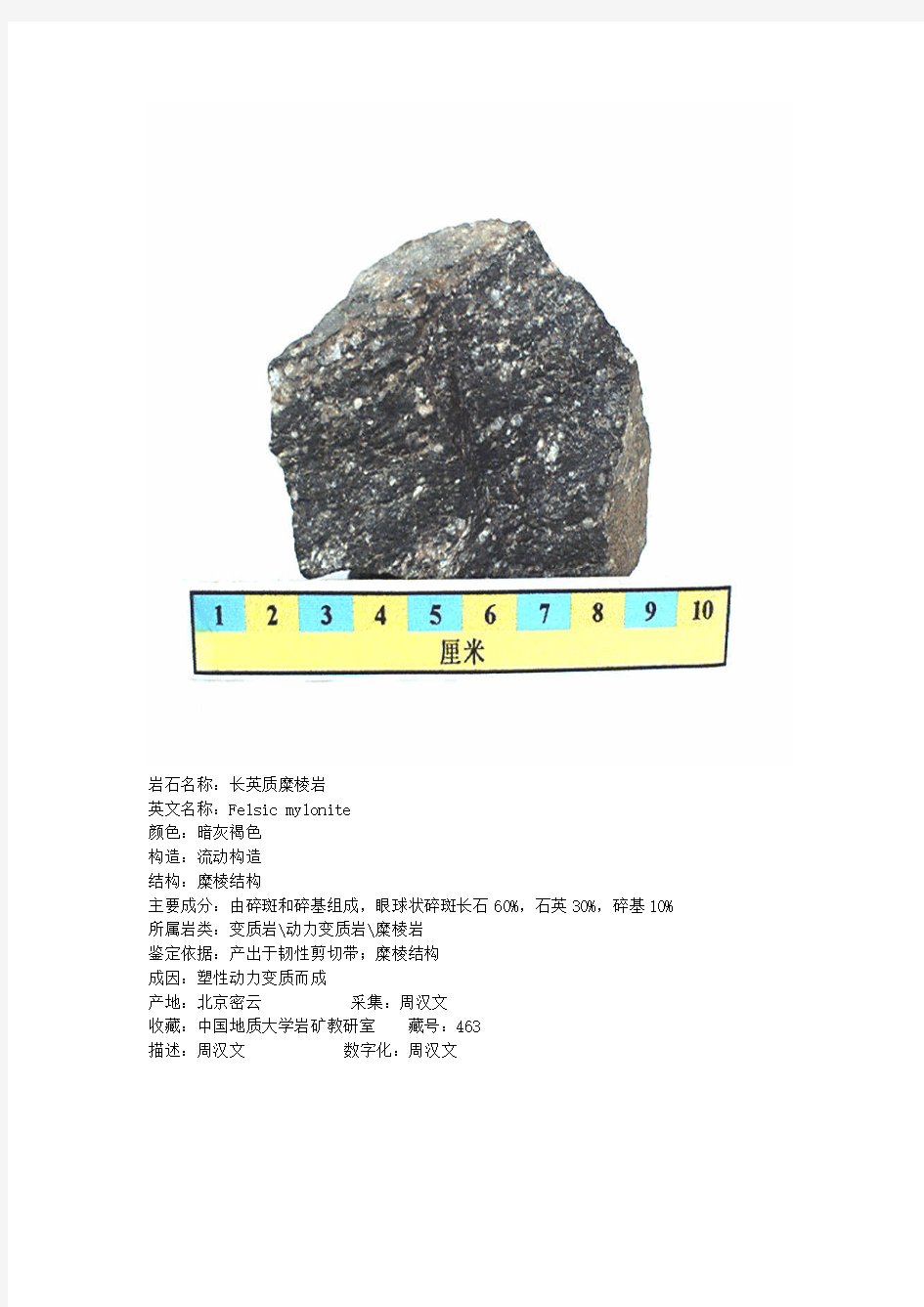常见岩石标本(地大)2