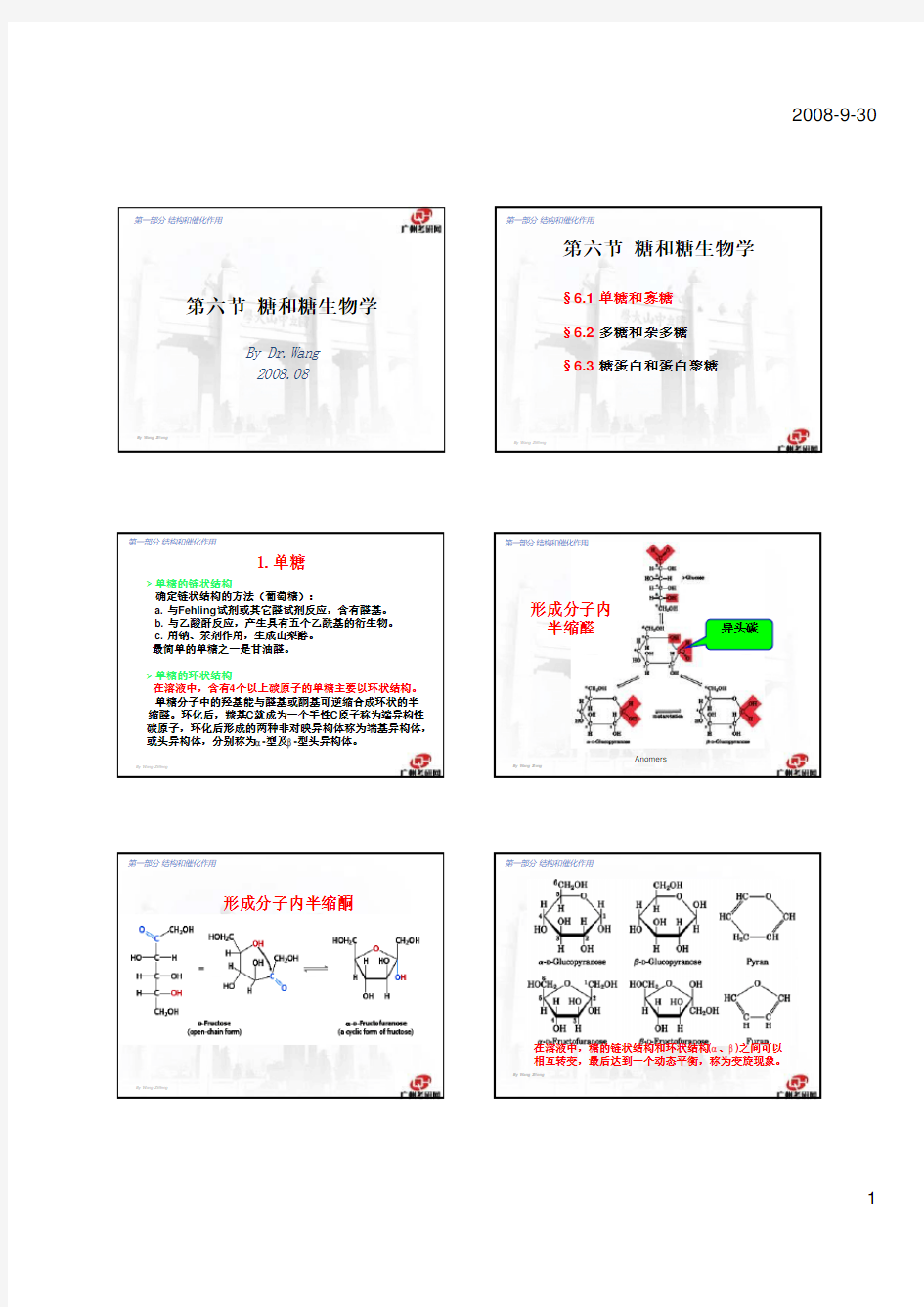 生物化学讲义6-糖和糖生物学 考研生物化学辅导讲义