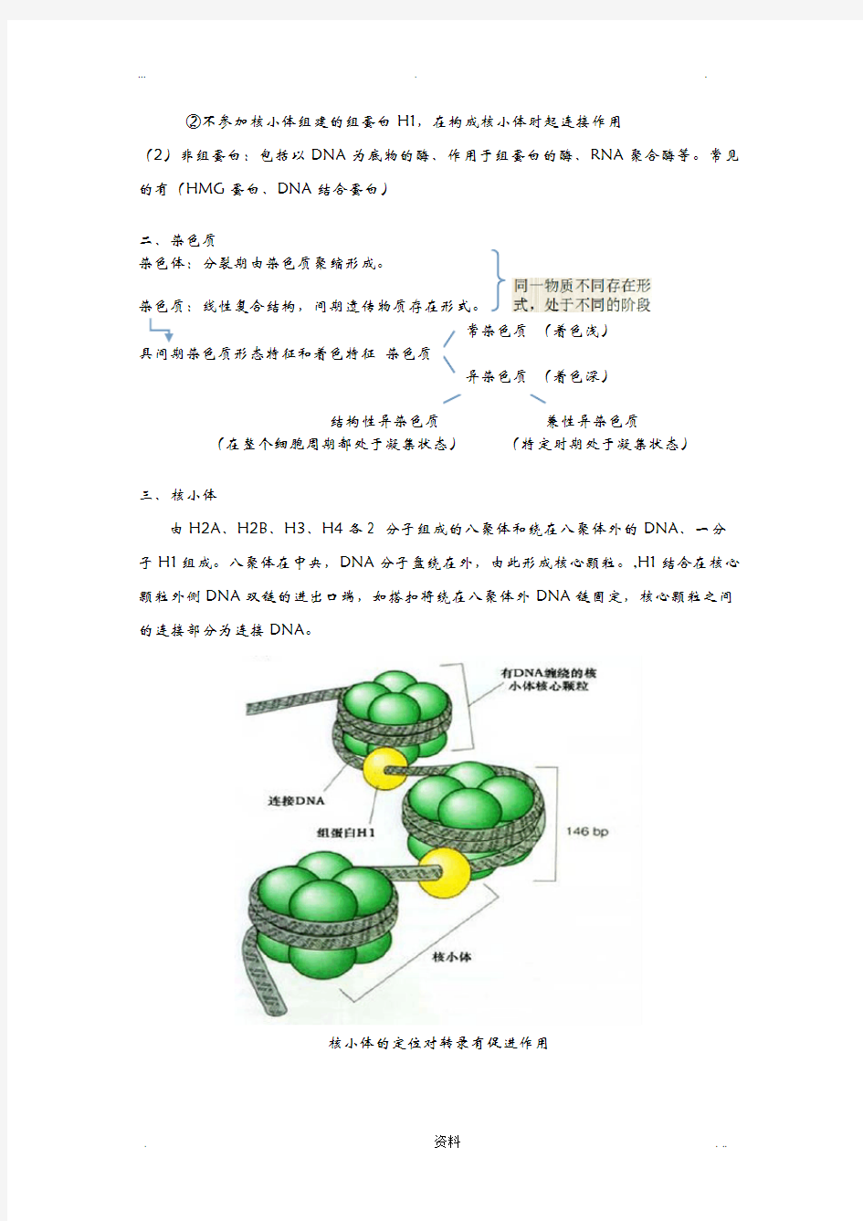 分子生物学总结(朱玉贤版)