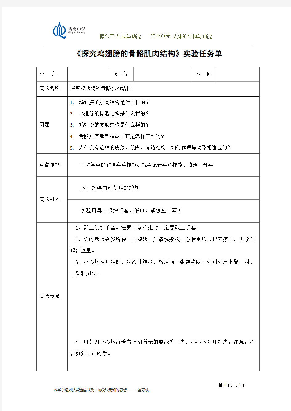 鸡翅解刨 实验文本