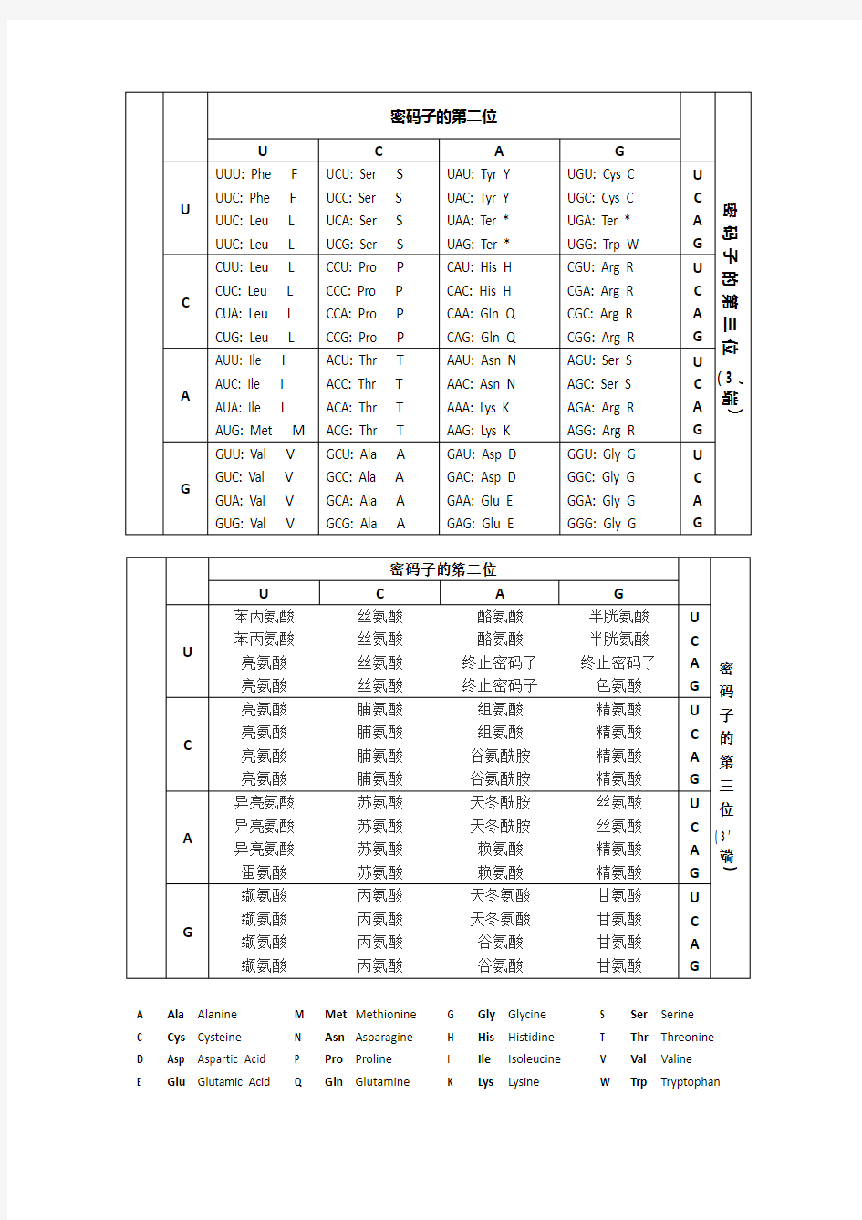 常用密码子表