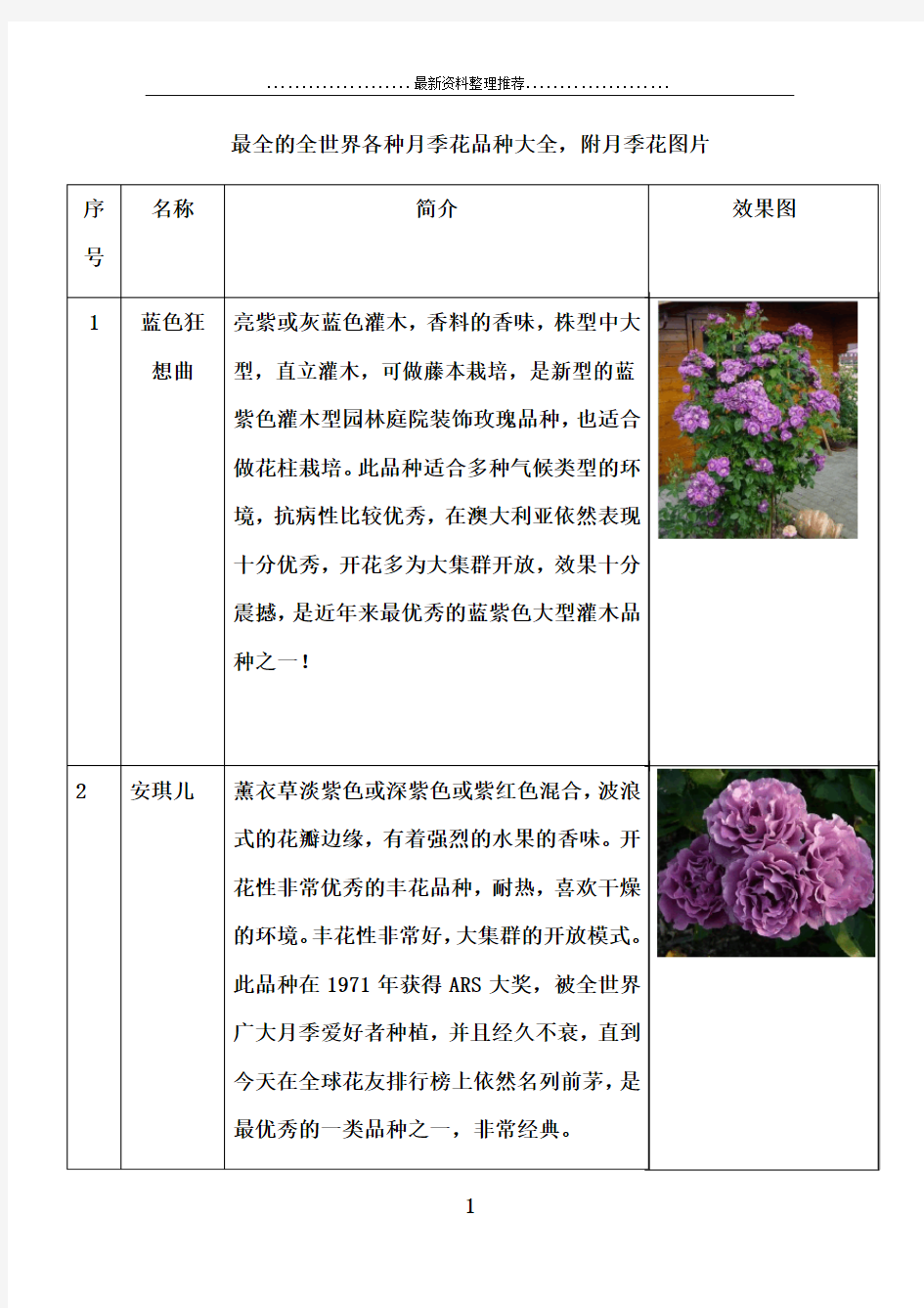 最全的全世界各种月季花品种大全,附月季花图片