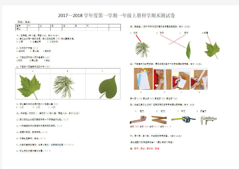 一年级上册科学期末测试卷