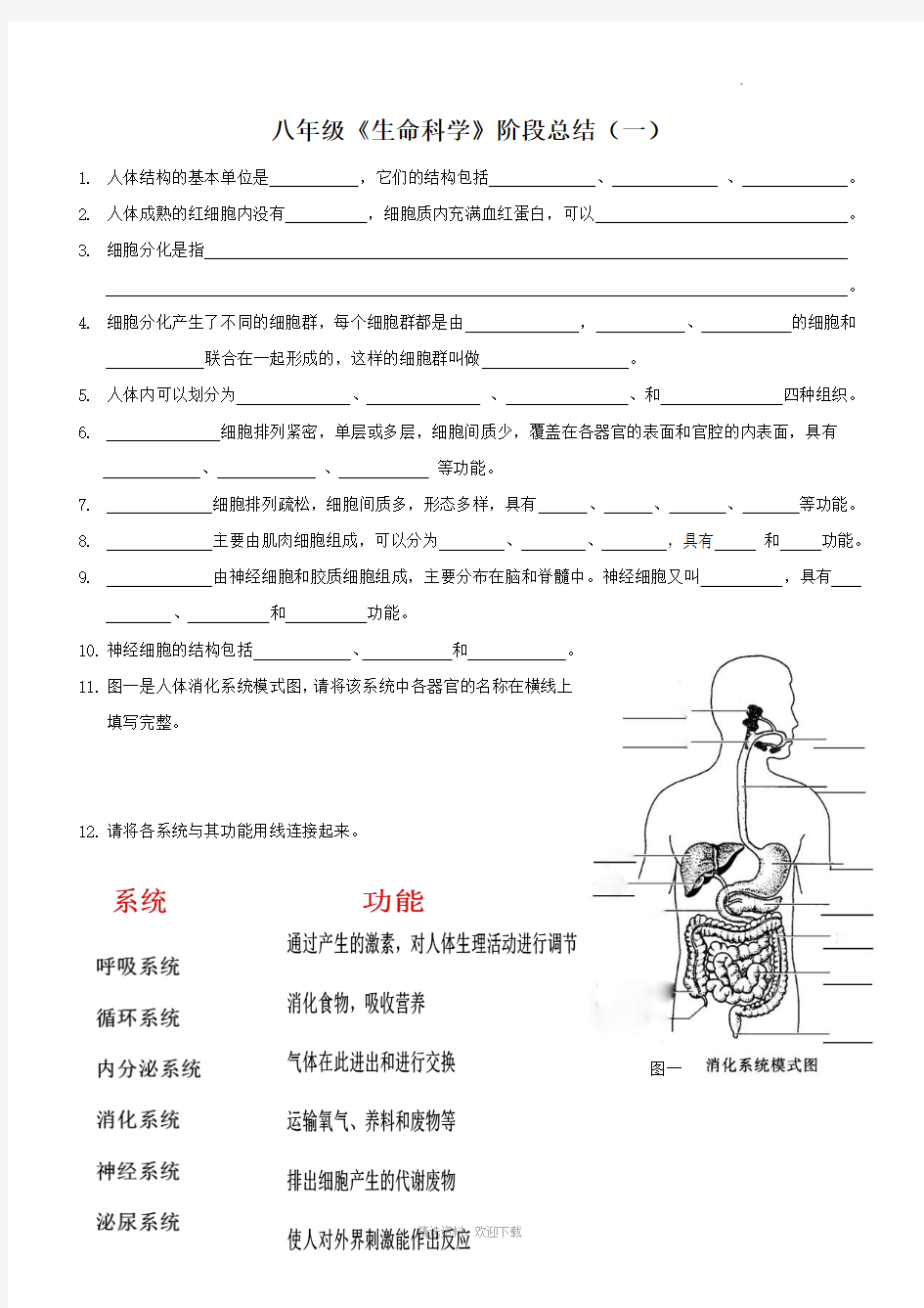 沪教版八年级生命科学阶段性总结(一)