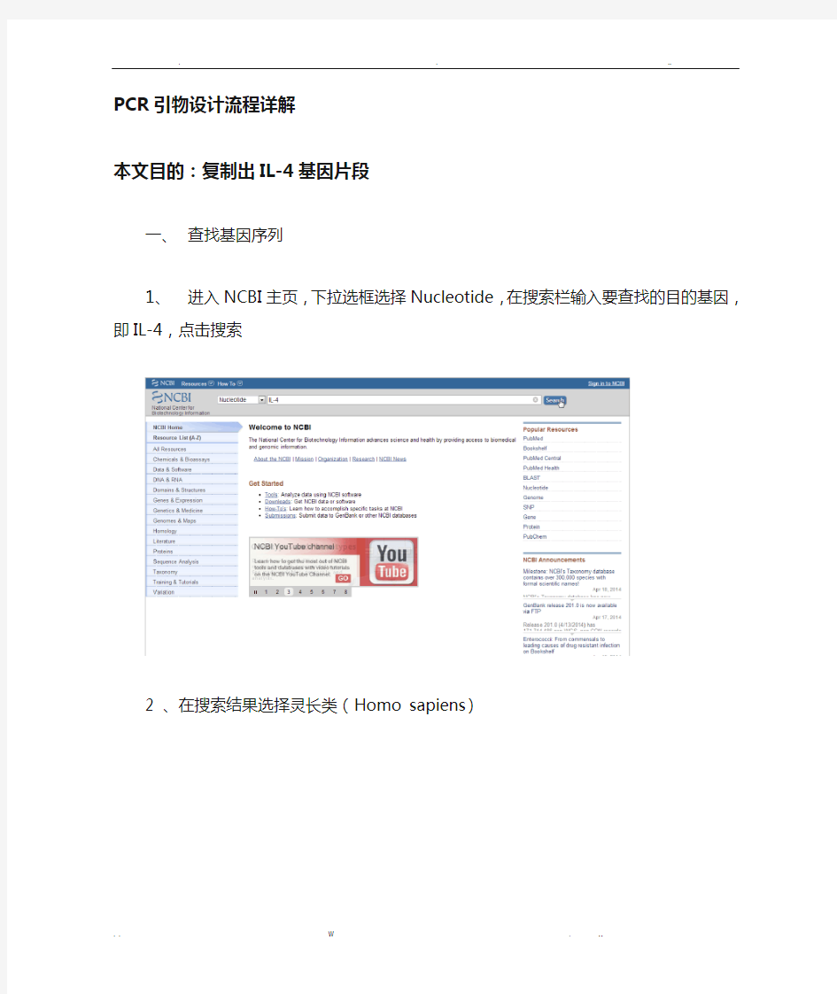 pcr引物流程设计详解
