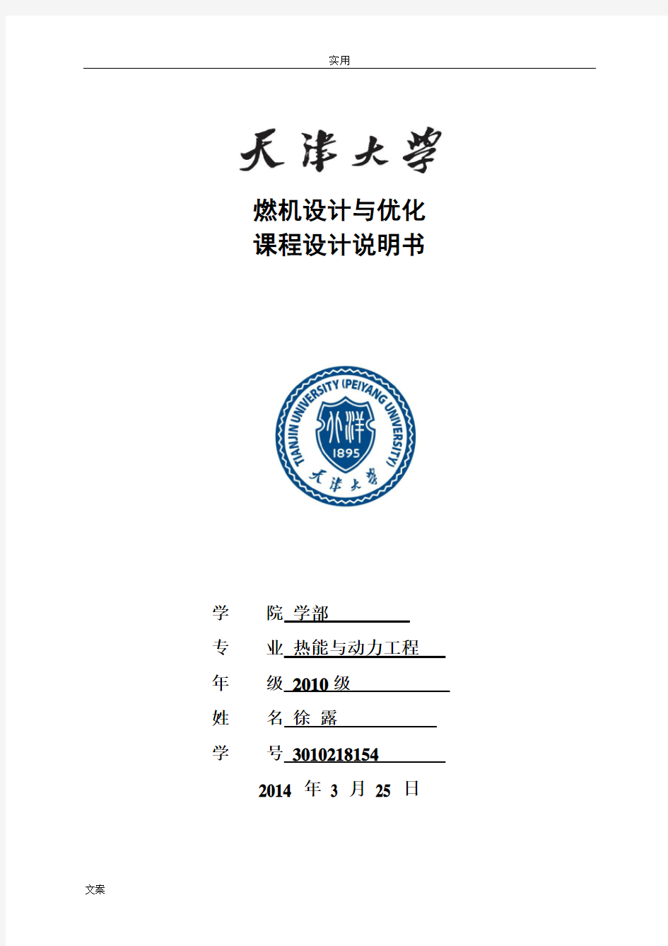 2100T整机优化设计说明书