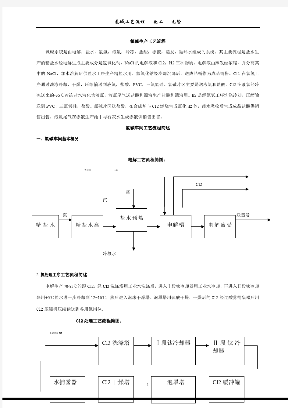 氯碱生产工艺流程 (1)