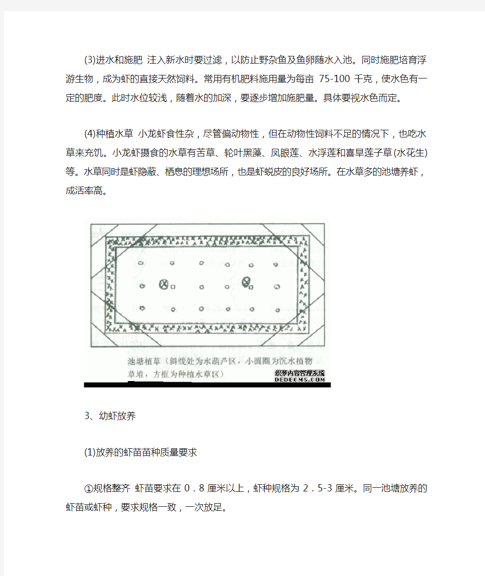 小龙虾养殖技术详解