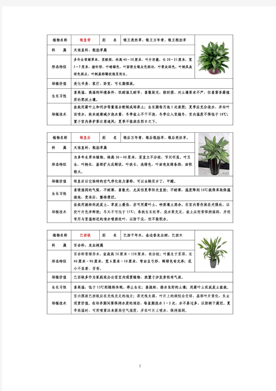 50种常见室内盆栽绿化植物介绍