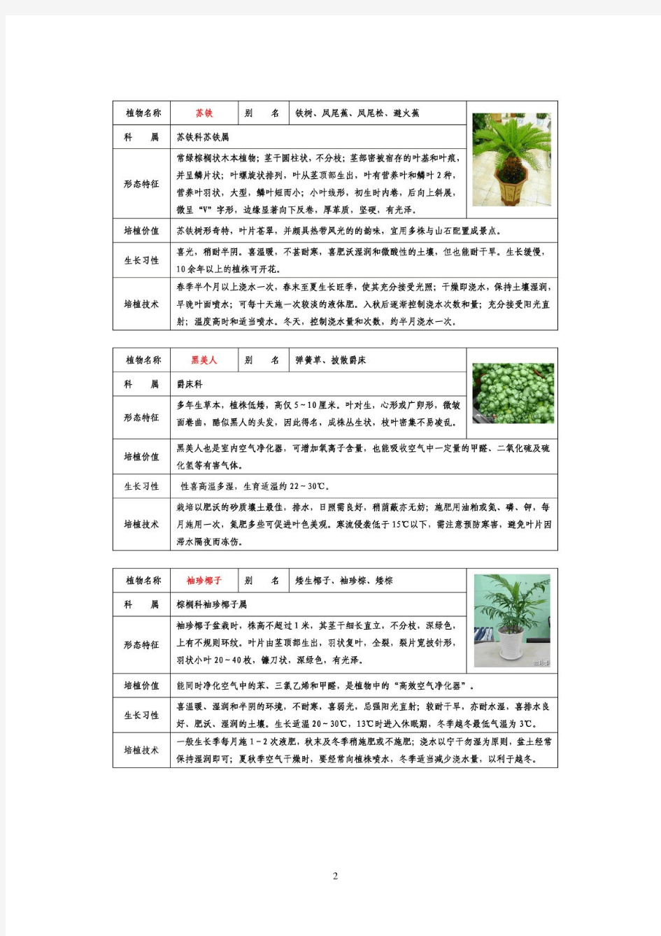 50种常见室内盆栽绿化植物介绍