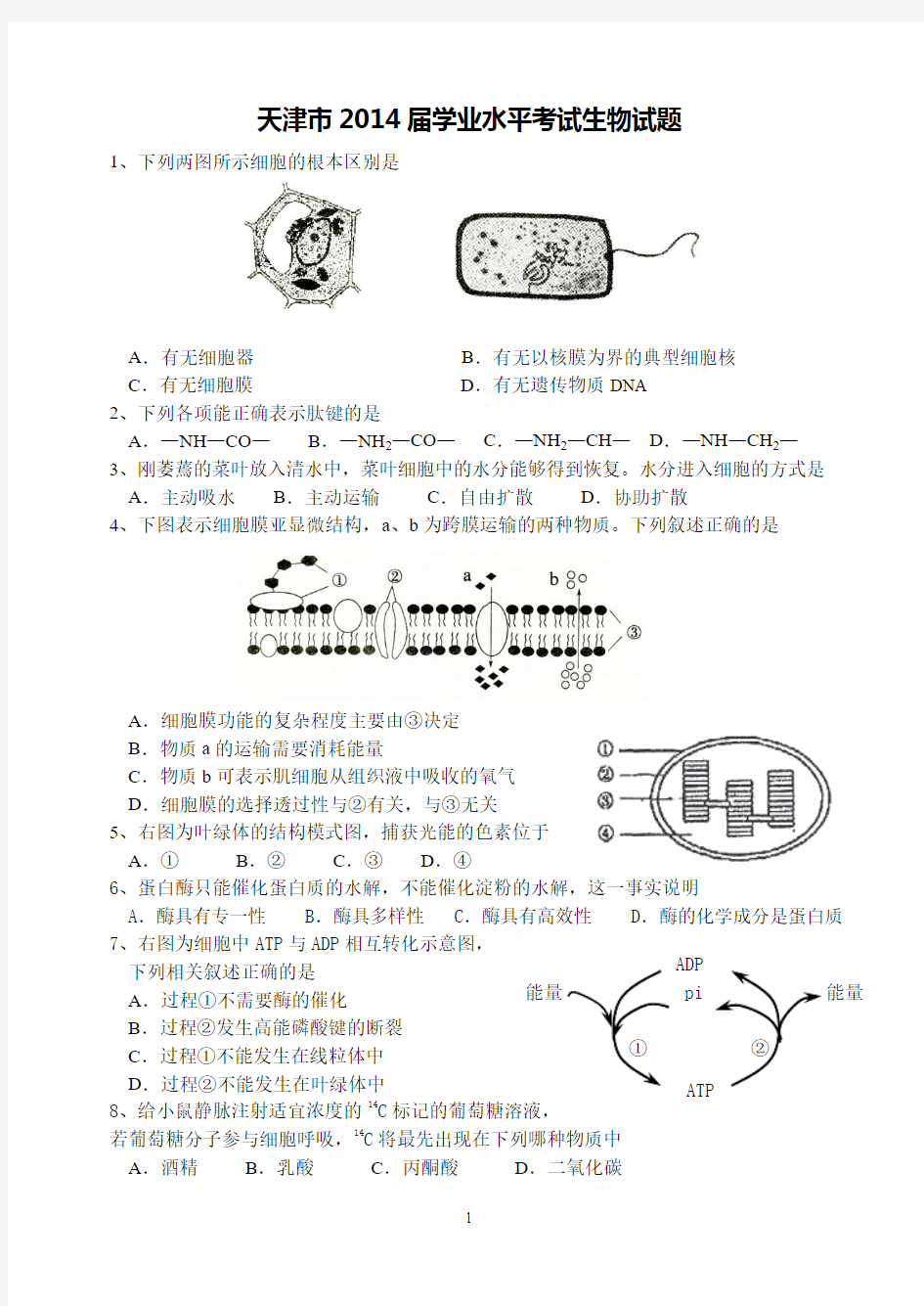 2014年天津市普通高中学业水平考试(word版)