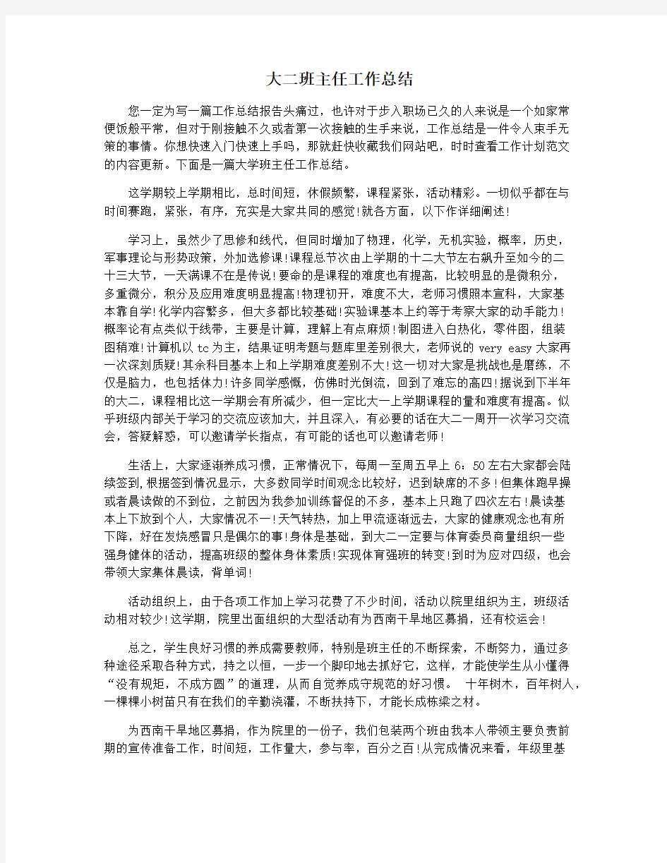 大二班主任工作总结