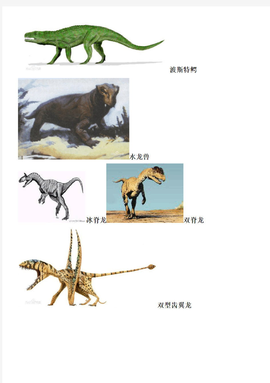 恐龙名字以及图片