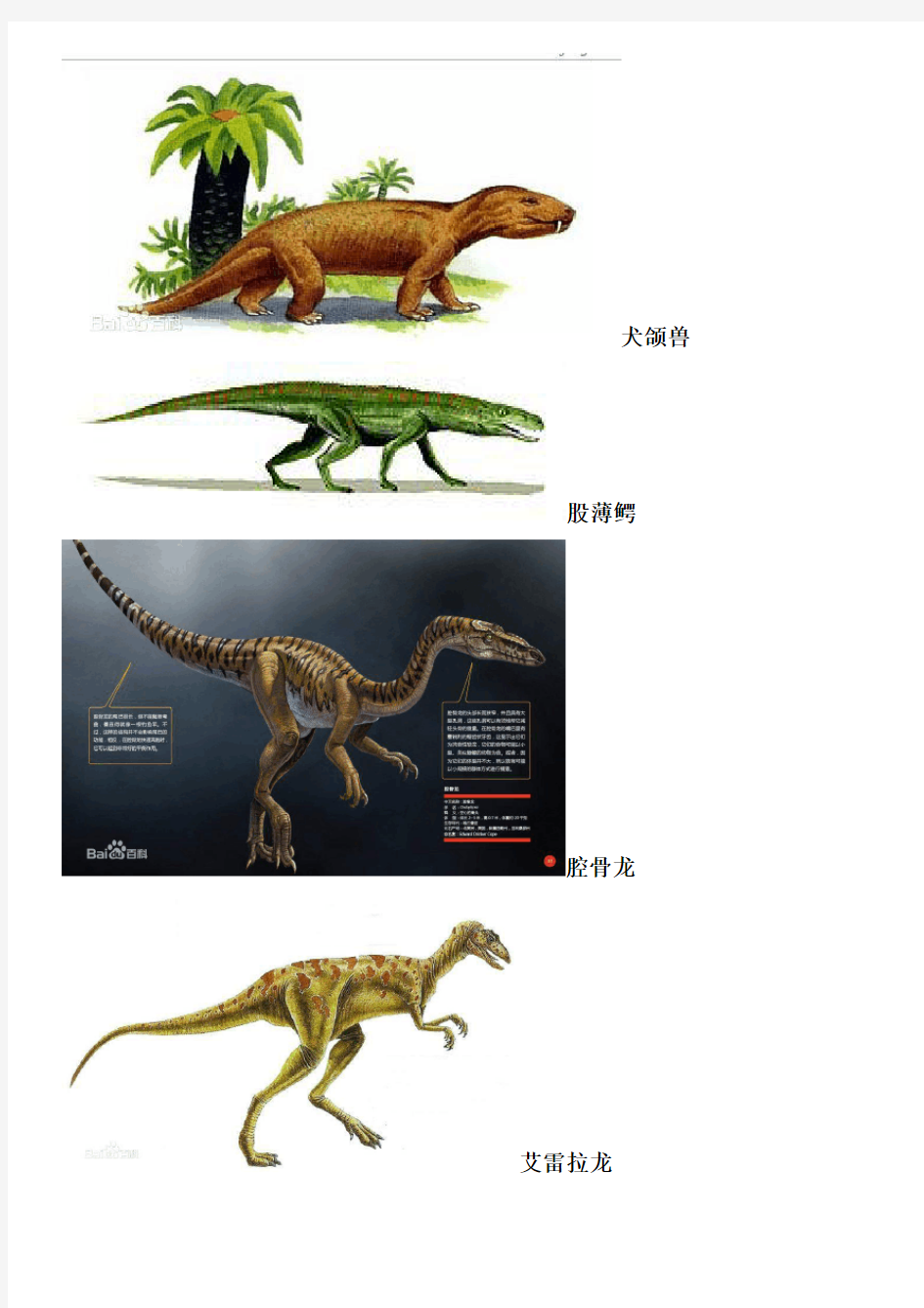 恐龙名字以及图片