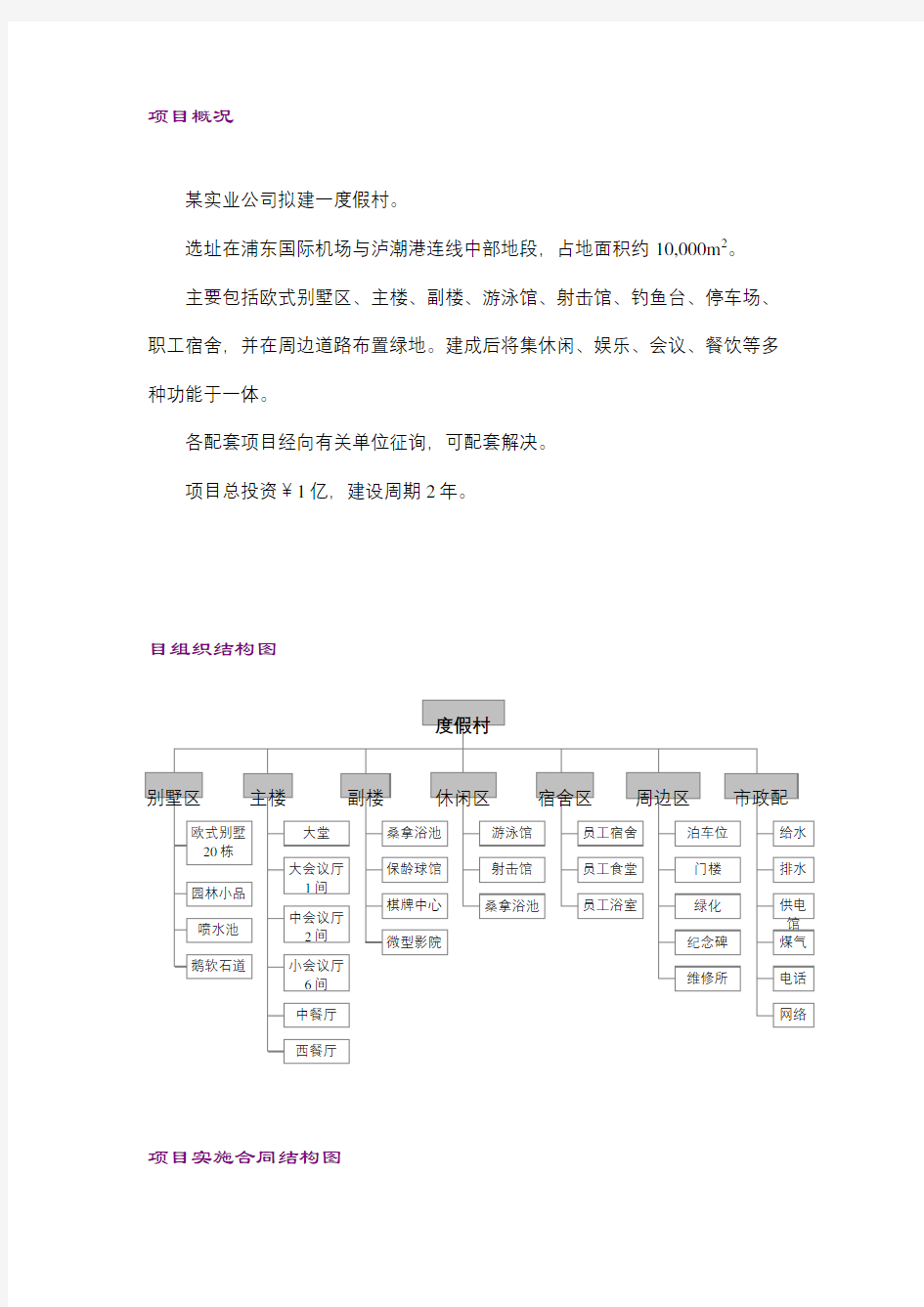 项目管理案例