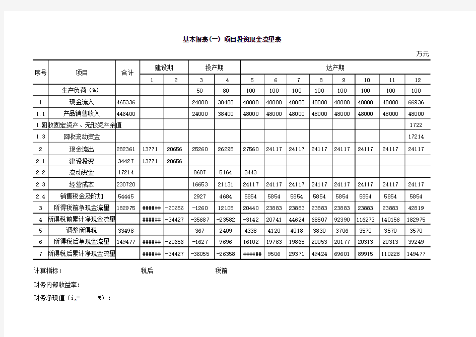 01基本报表一：项目投资现金流量表