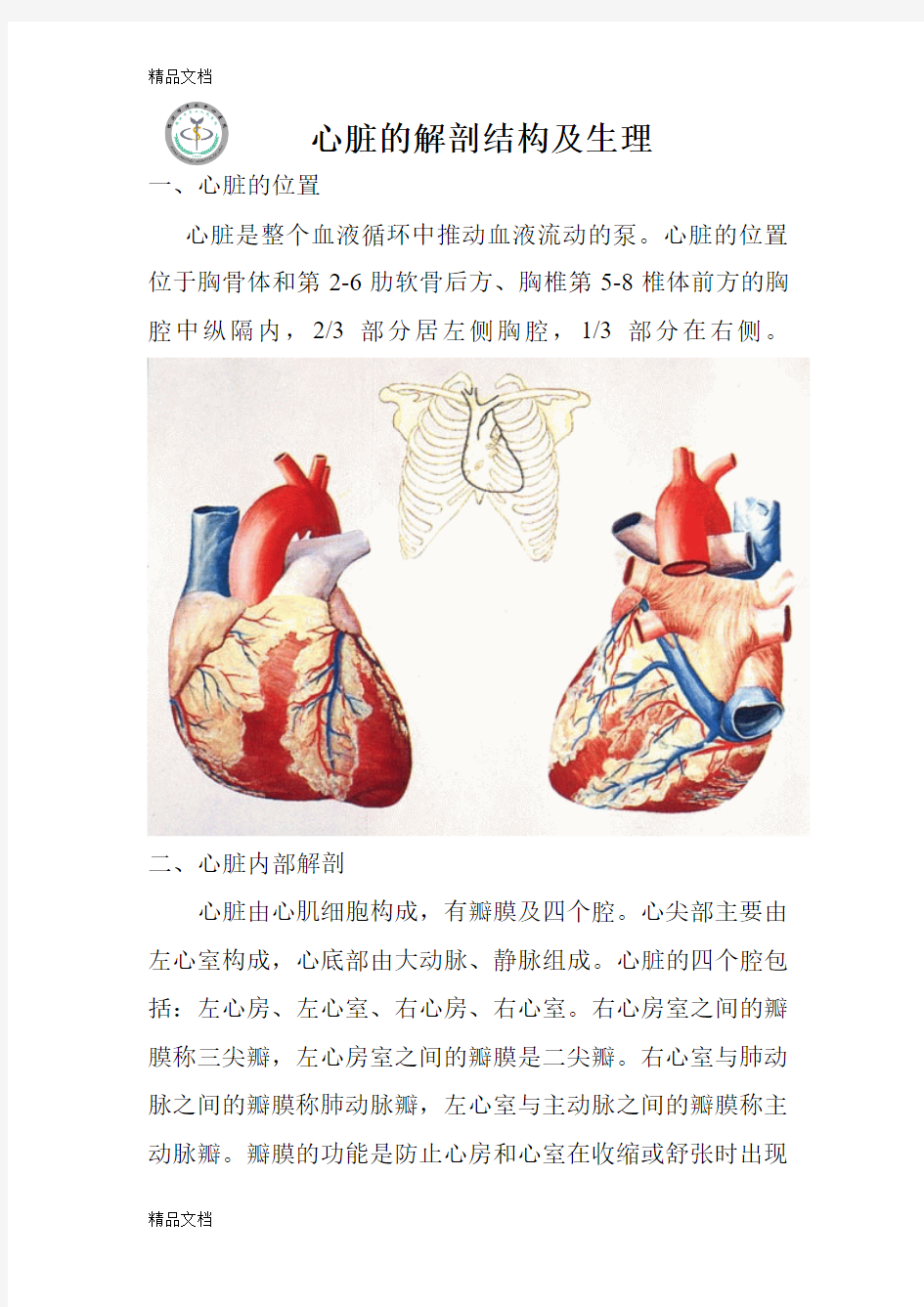 最新心脏的解剖结构及生理(含彩图)资料