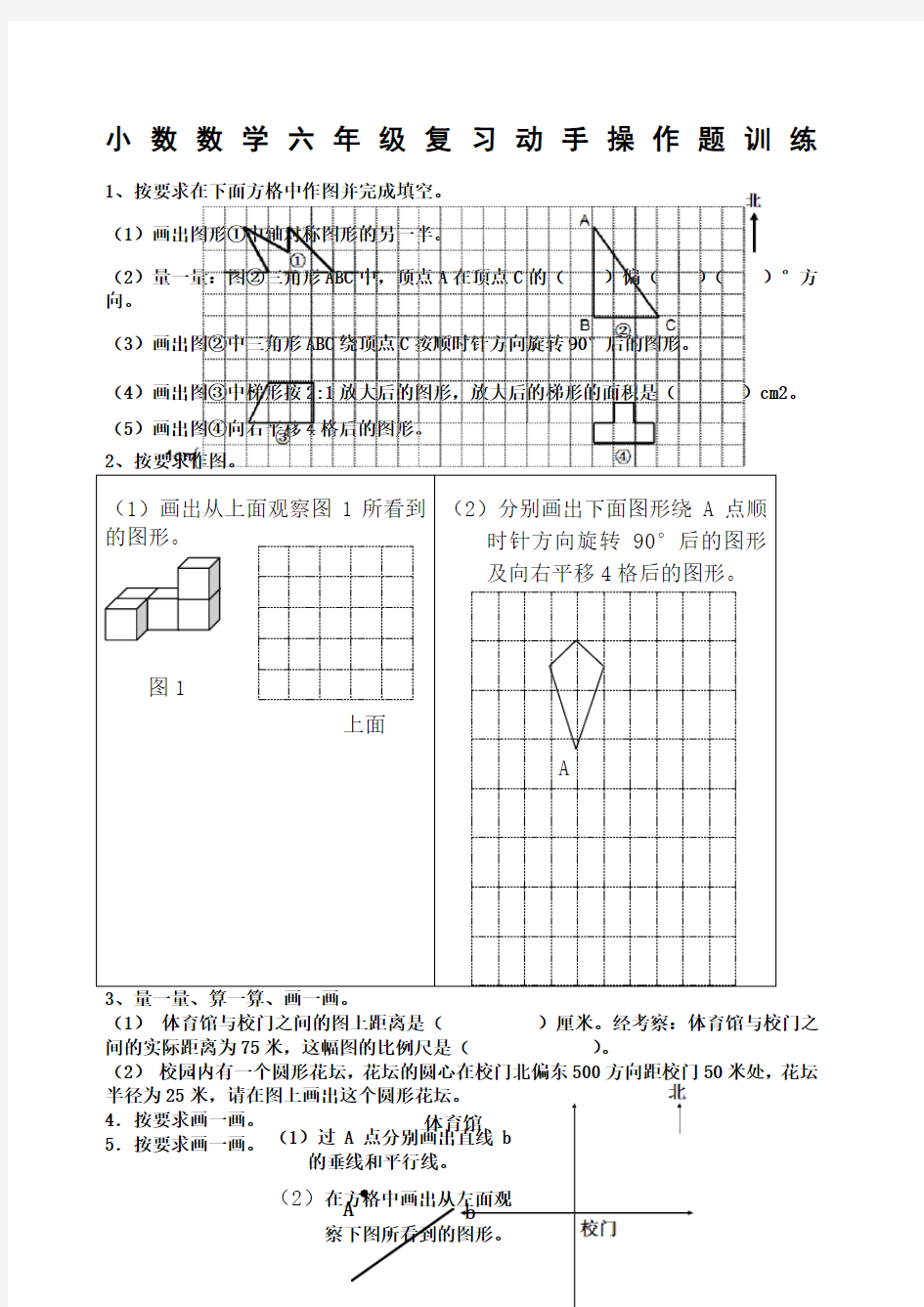 六年级数学下册操作题专项训练