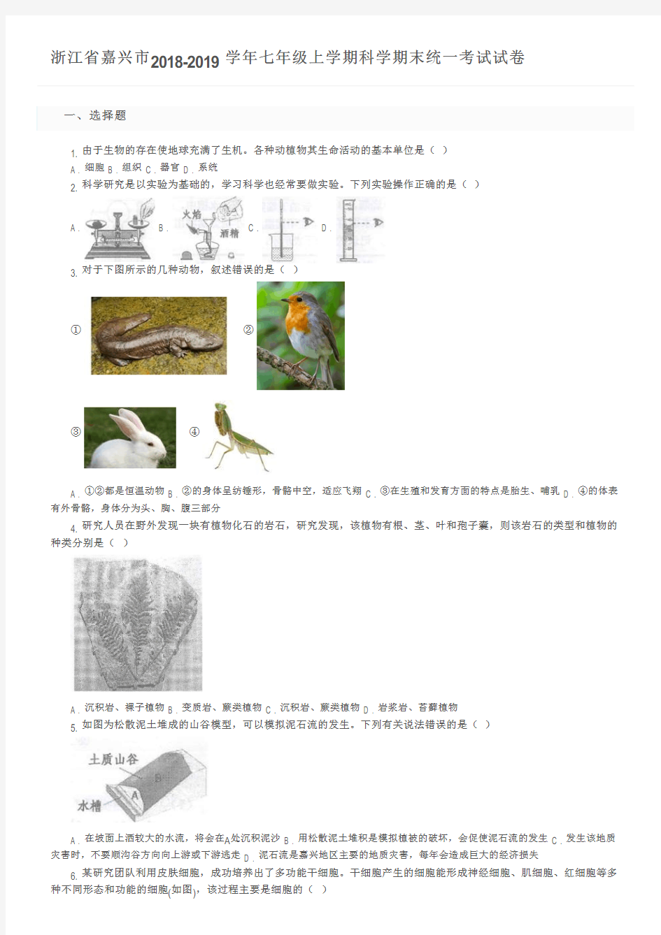 浙江省嘉兴市2018-2019学年七年级上学期科学期末统一考试试卷及参考答案