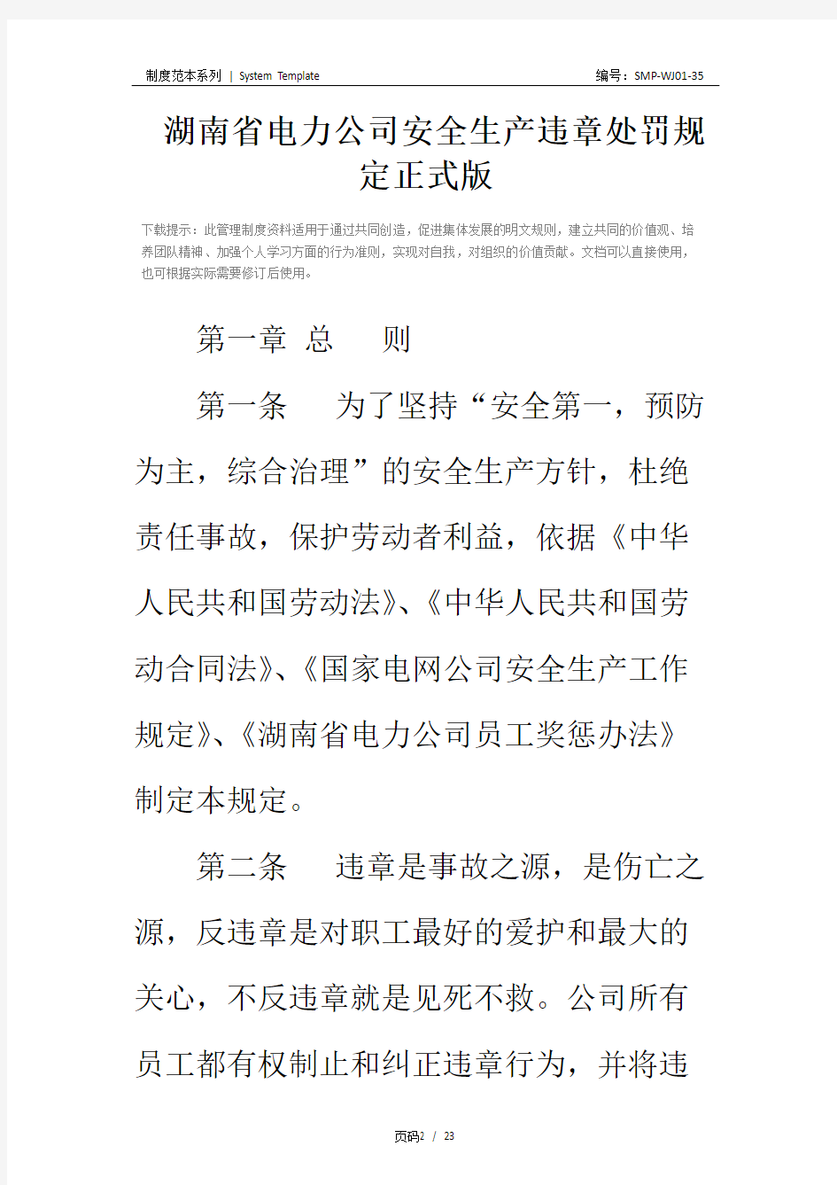 湖南省电力公司安全生产违章处罚规定正式版