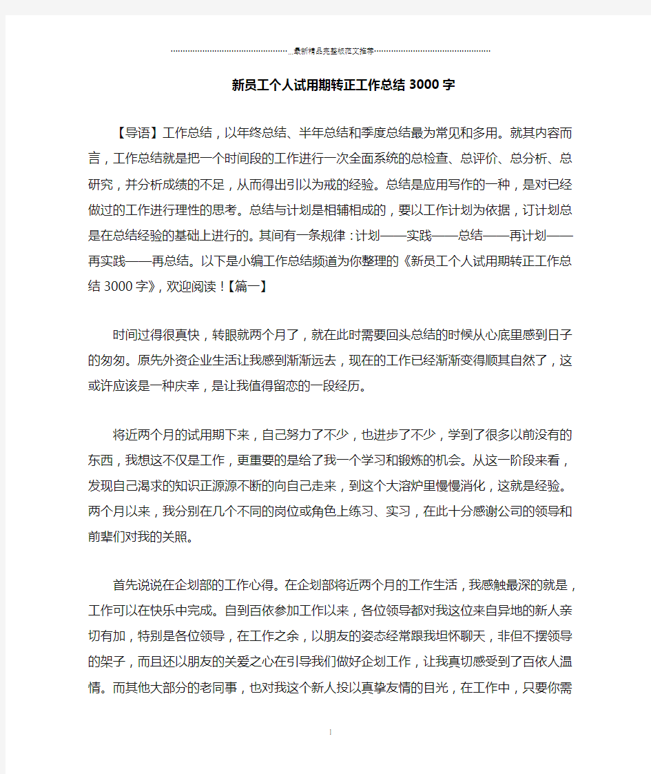 新员工个人试用期转正精编工作总结3000字