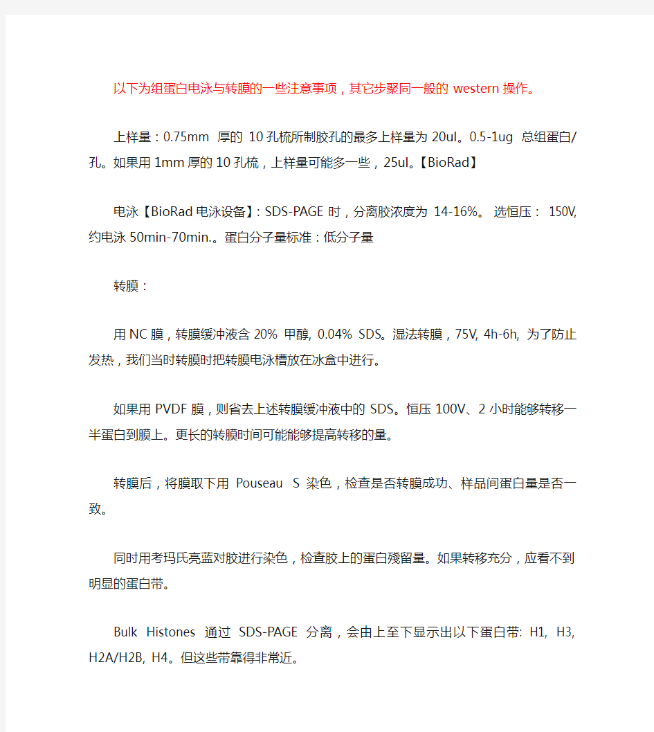 组蛋白的WESTERN注意事项