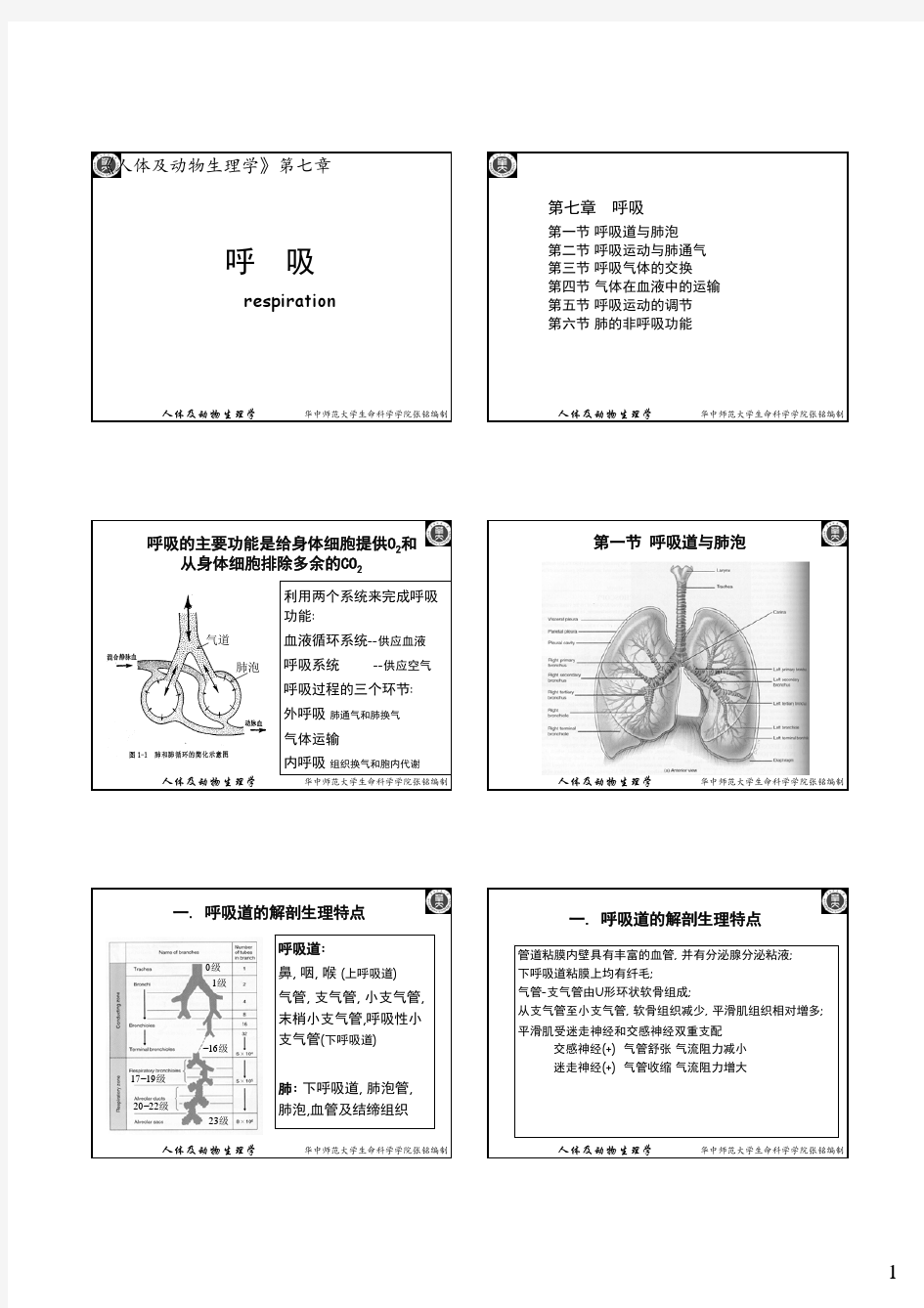 生理学_呼吸