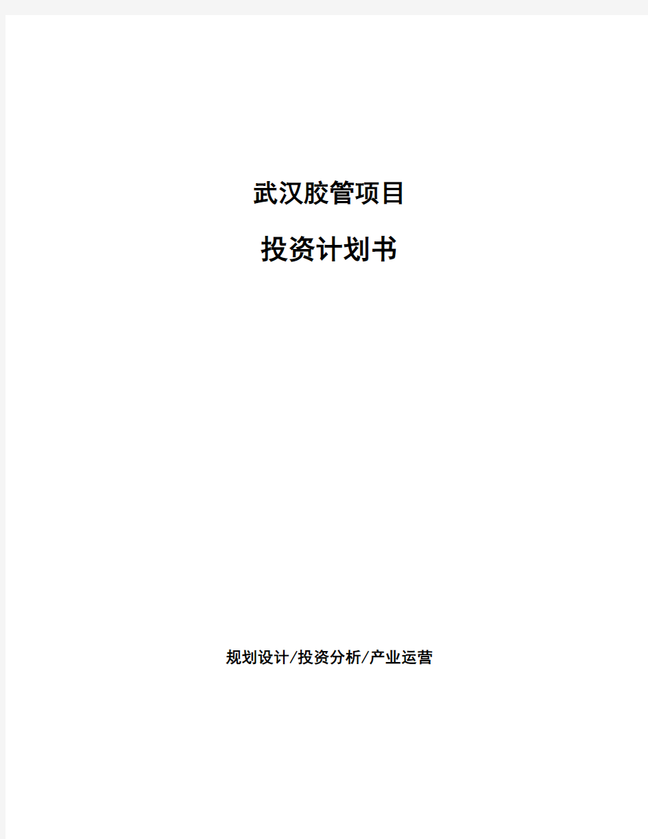 武汉胶管项目投资计划书(模板范文)
